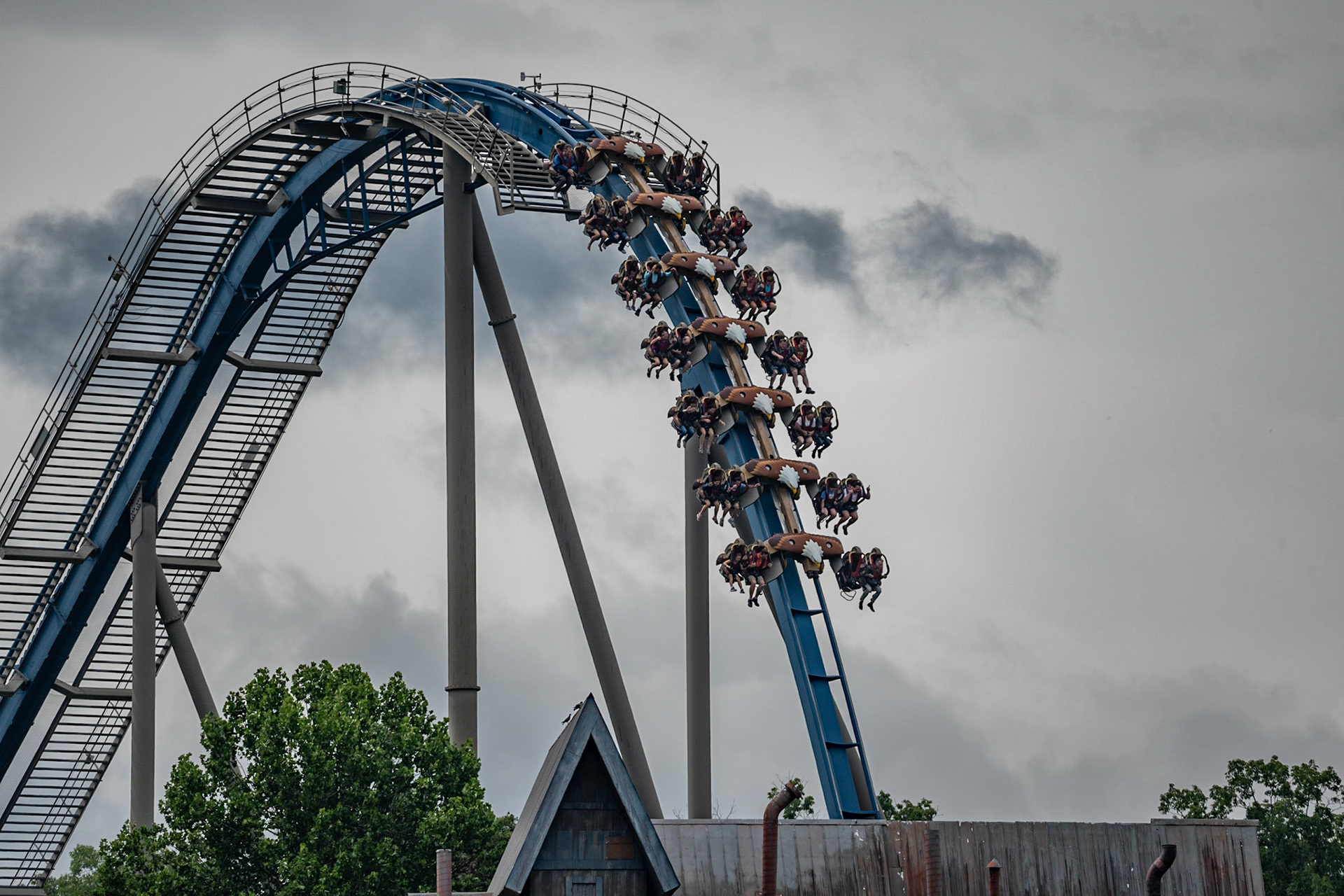 Photo by Jon Roost (www.jonroostphotos.com)