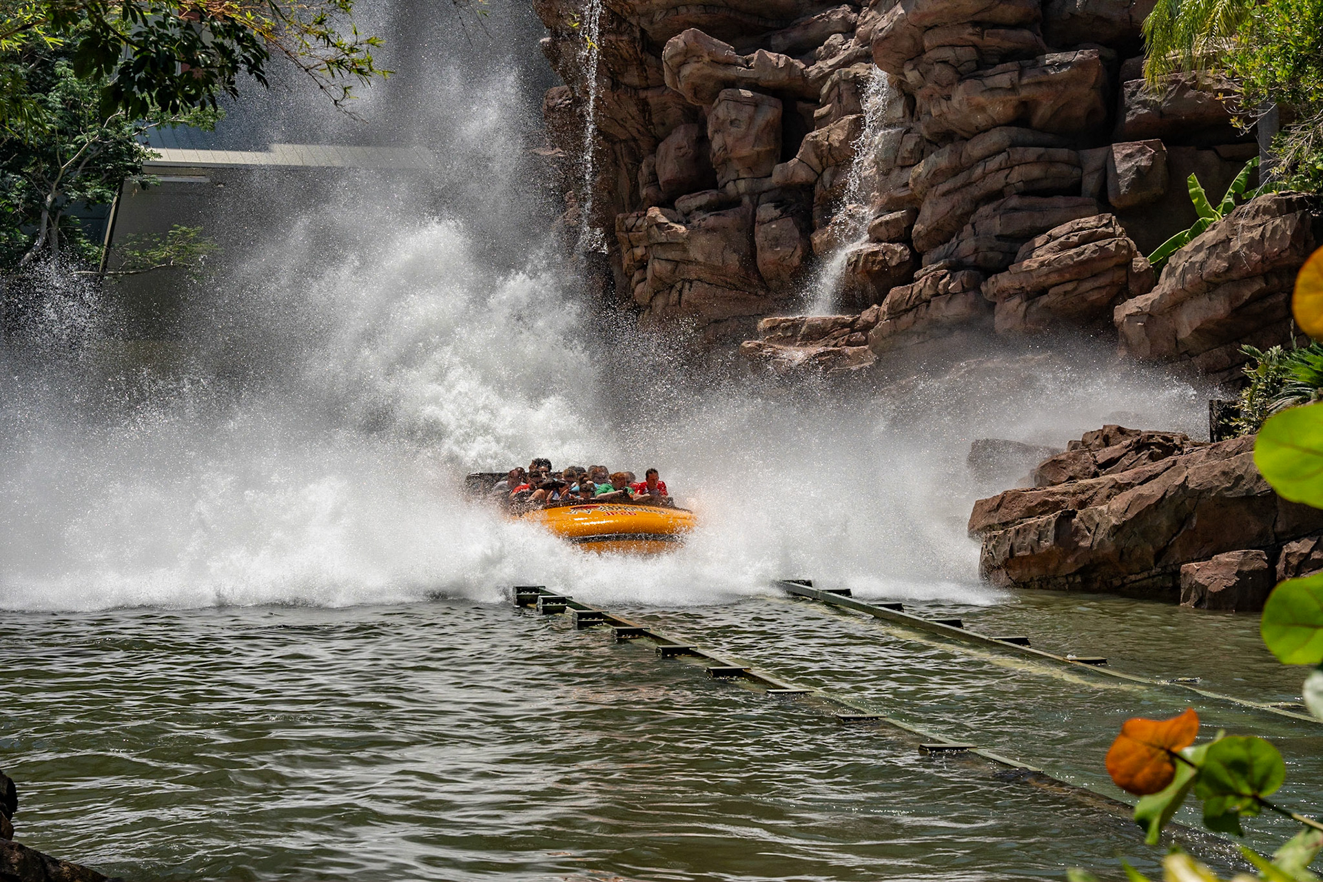 Photo by Jon Roost (www.jonroostphotos.com)