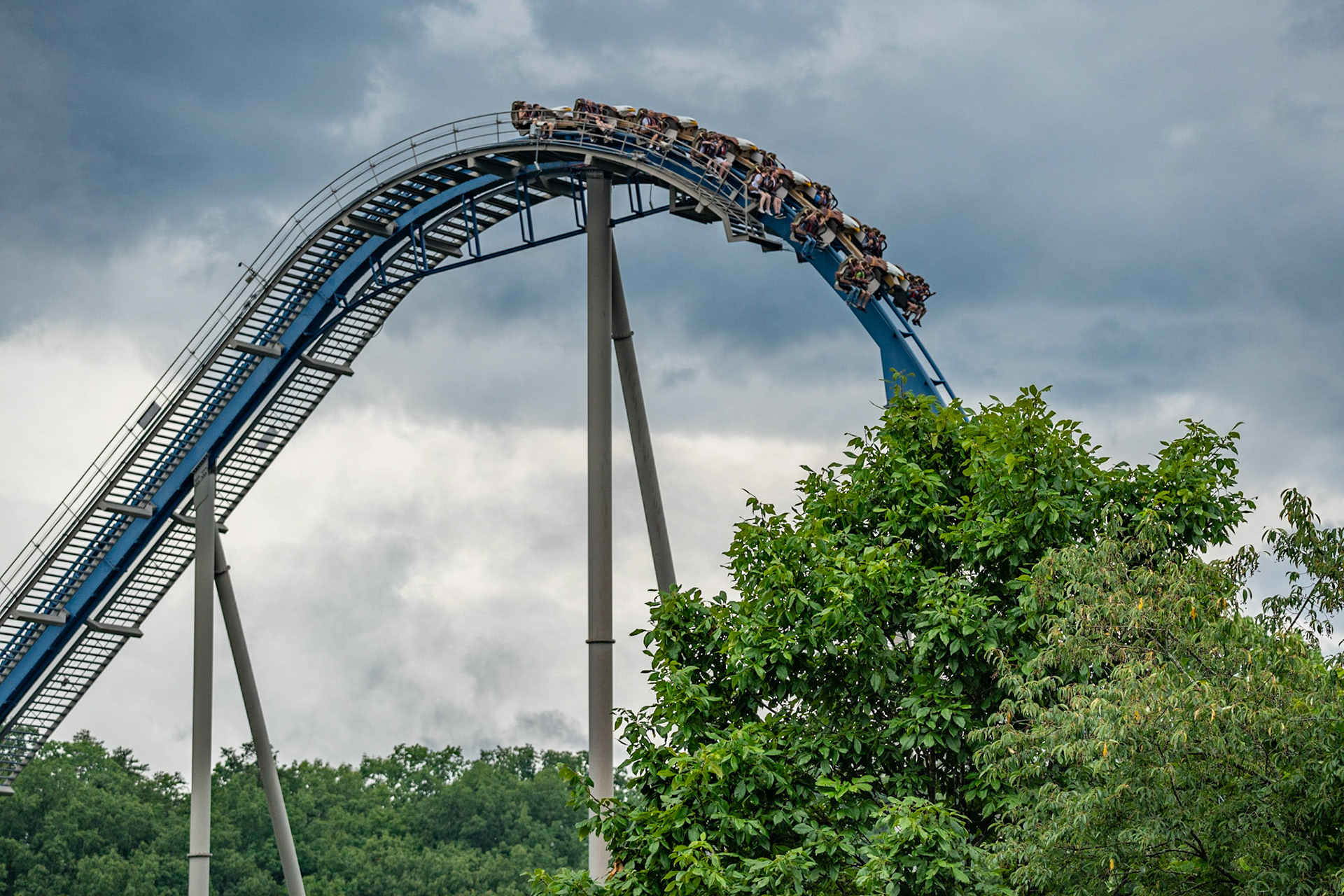 Photo by Jon Roost (www.jonroostphotos.com)