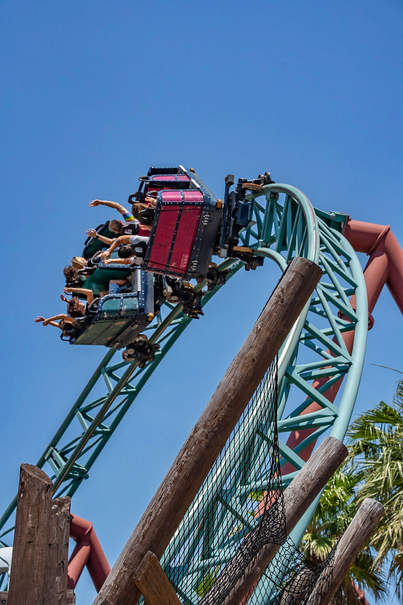 Photo by Jon Roost (www.jonroostphotos.com)