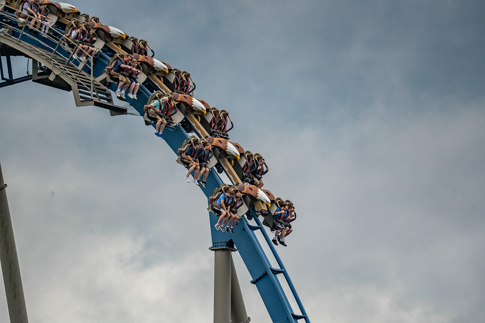 Photo by Jon Roost (www.jonroostphotos.com)