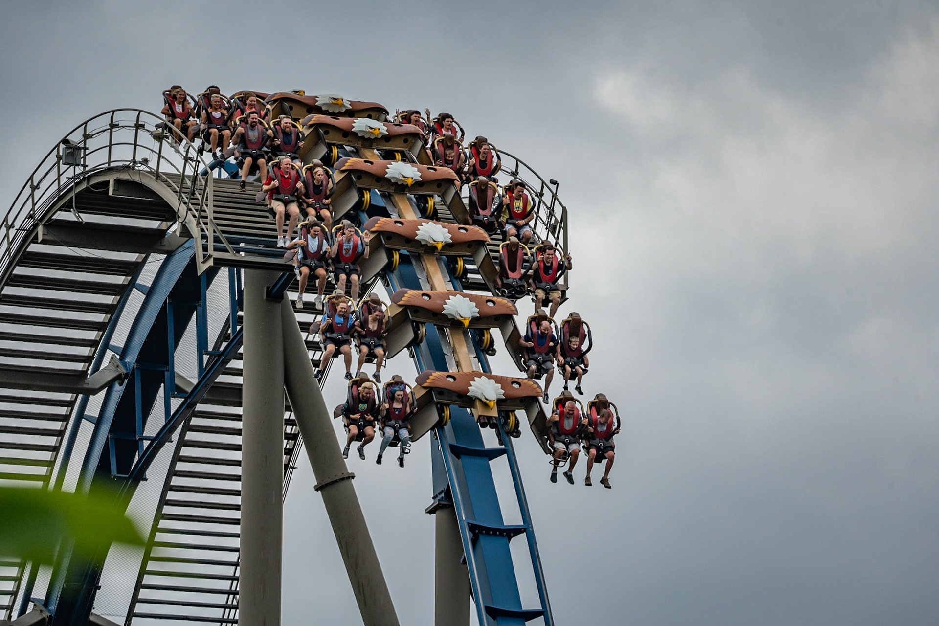 Photo by Jon Roost (www.jonroostphotos.com)