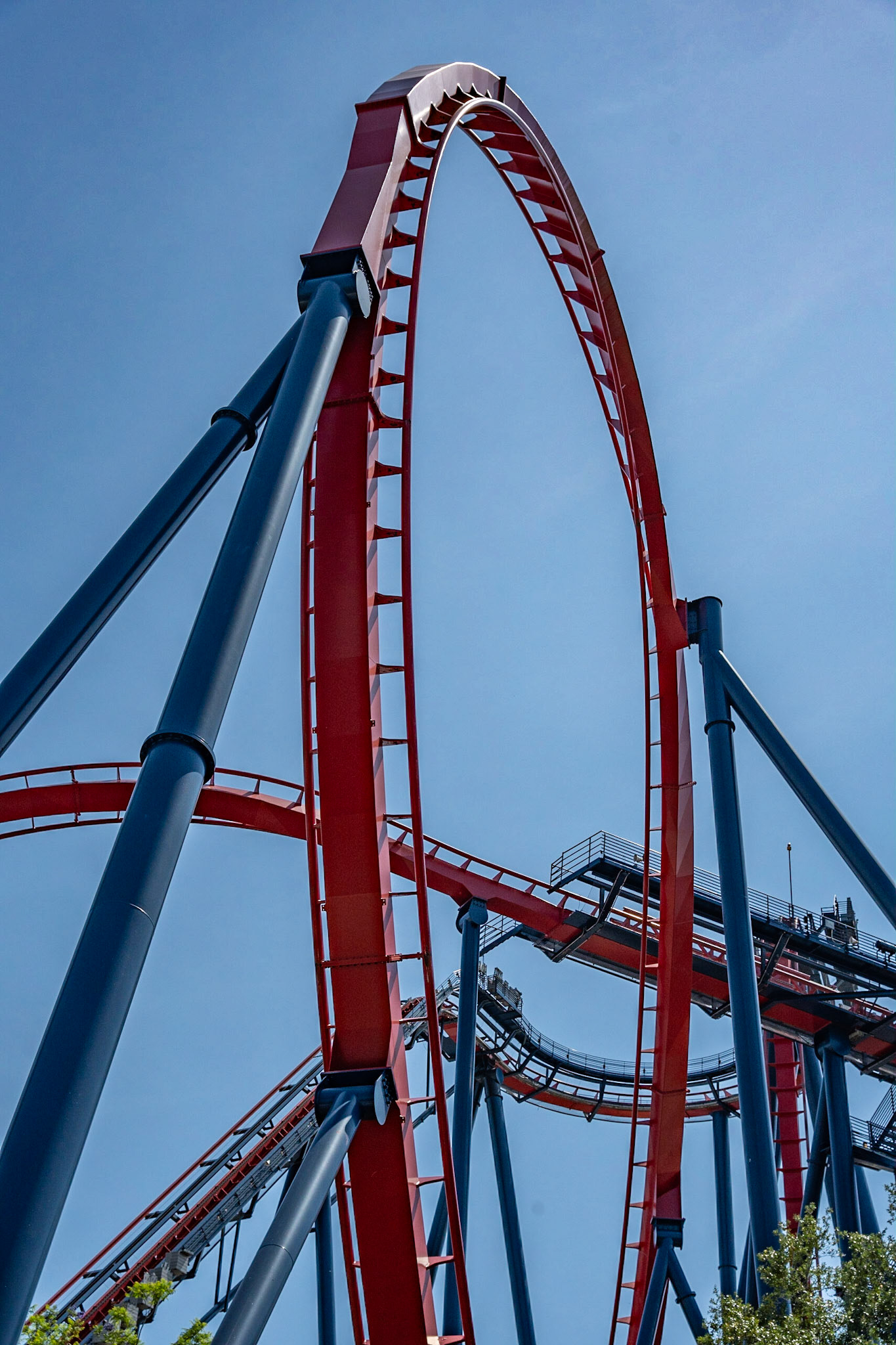 Photo by Jon Roost (www.jonroostphotos.com)