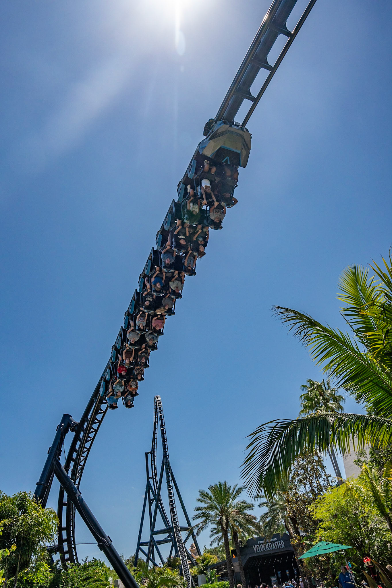 Photo by Jon Roost (www.jonroostphotos.com)