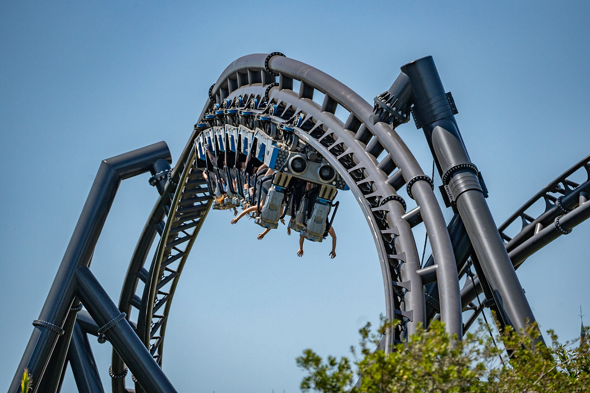 Photo by Jon Roost (www.jonroostphotos.com)