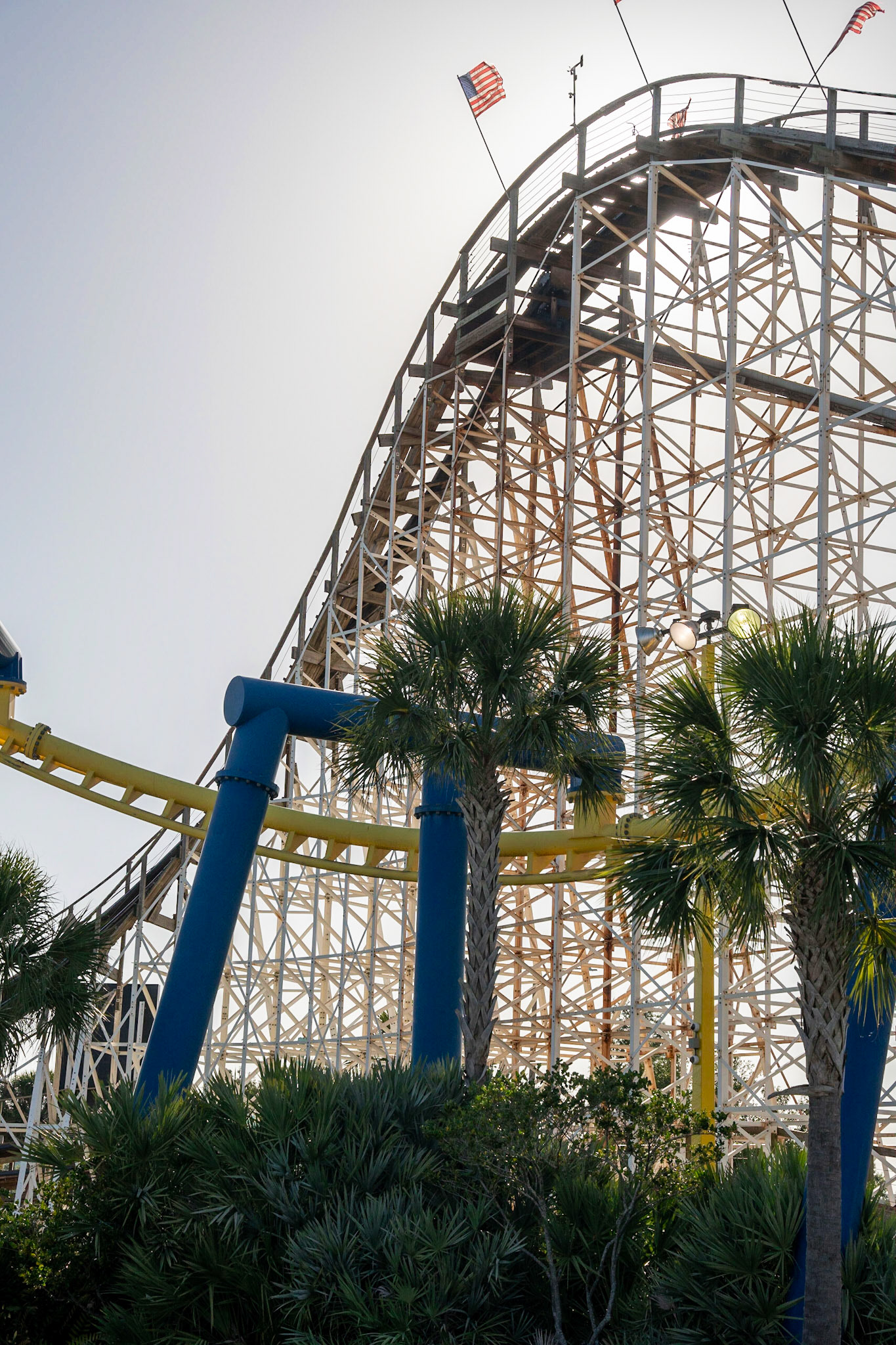 Photo by Jon Roost (www.jonroostphotos.com)