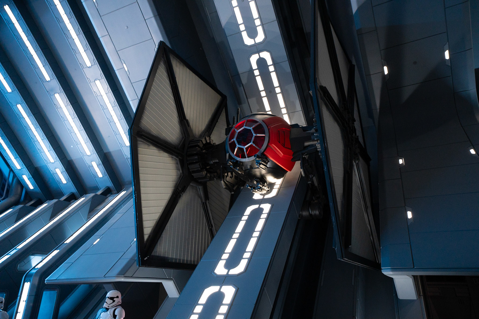 Photo by Jon Roost (www.jonroostphotos.com)