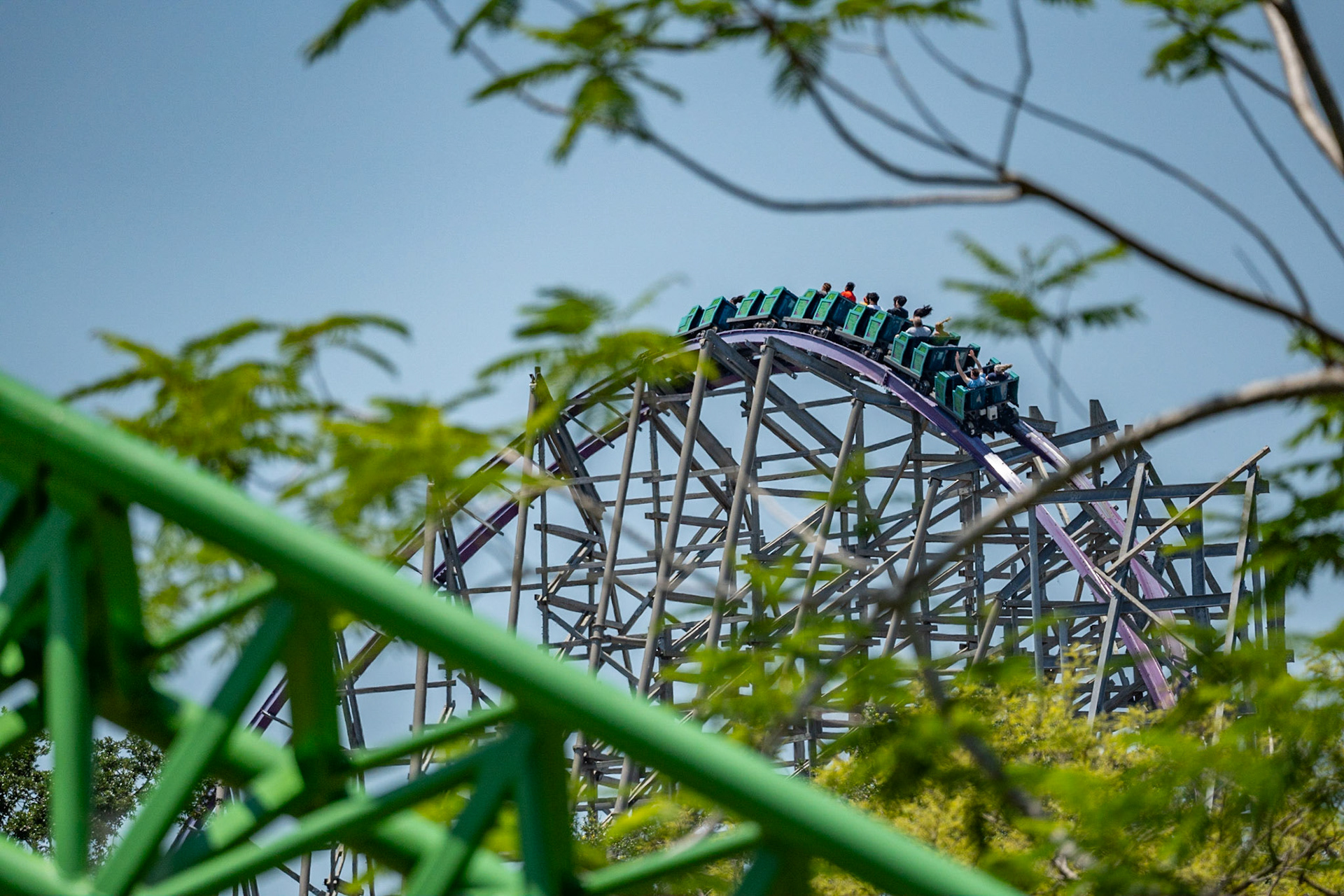 Photo by Jon Roost (www.jonroostphotos.com)