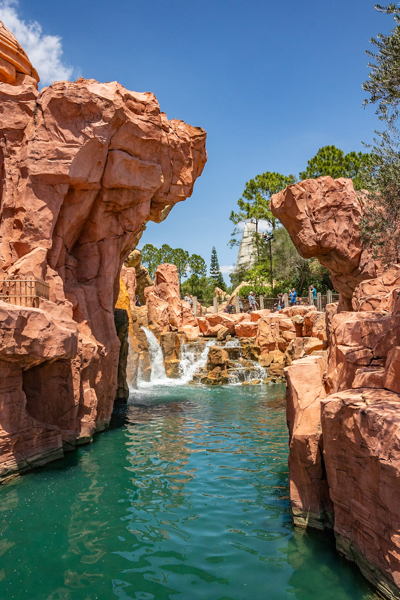 Photo by Jon Roost (www.jonroostphotos.com)