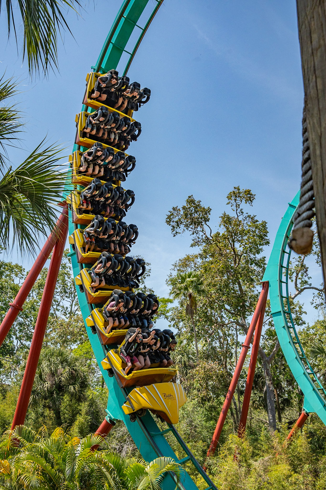 Photo by Jon Roost (www.jonroostphotos.com)