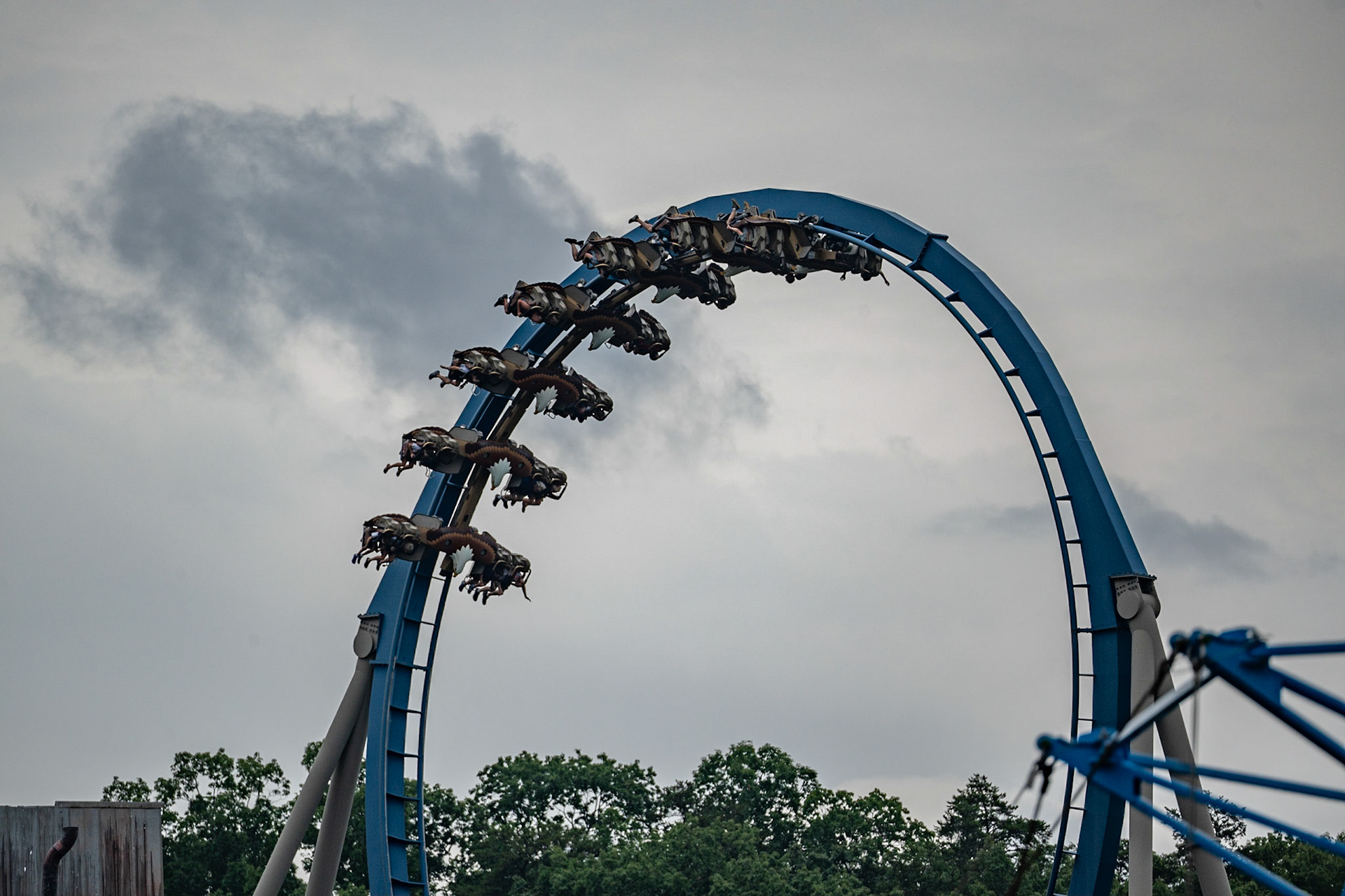 Photo by Jon Roost (www.jonroostphotos.com)