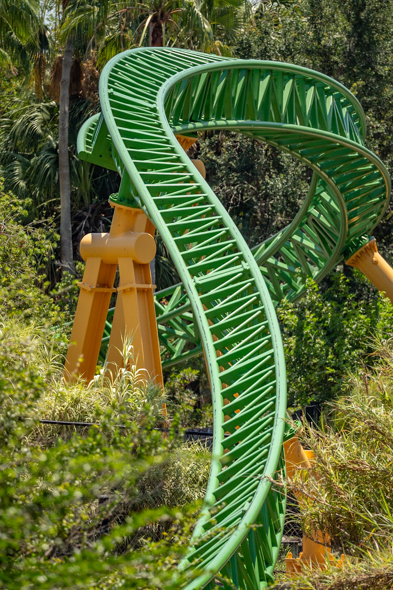 Photo by Jon Roost (www.jonroostphotos.com)