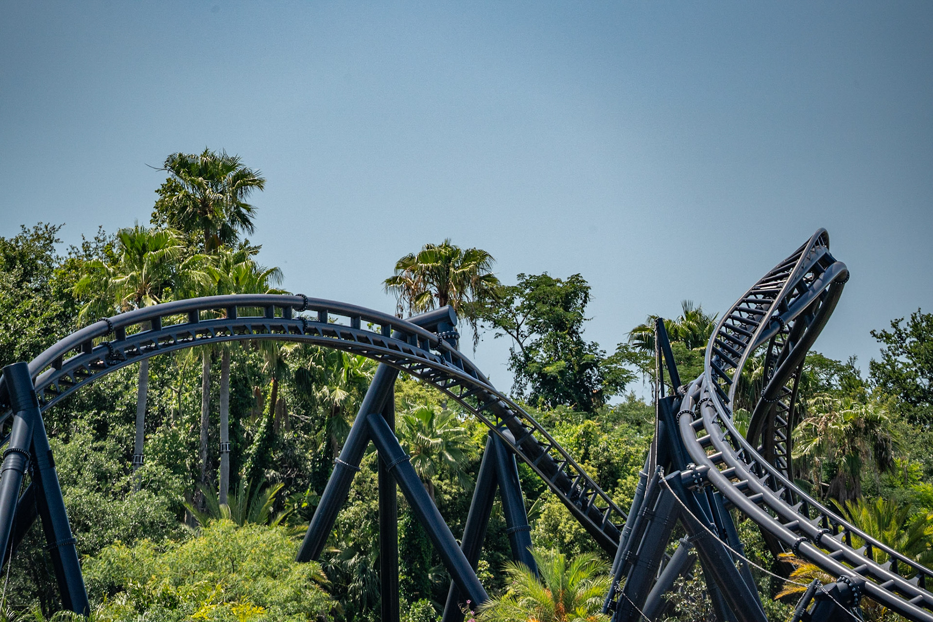 Photo by Jon Roost (www.jonroostphotos.com)