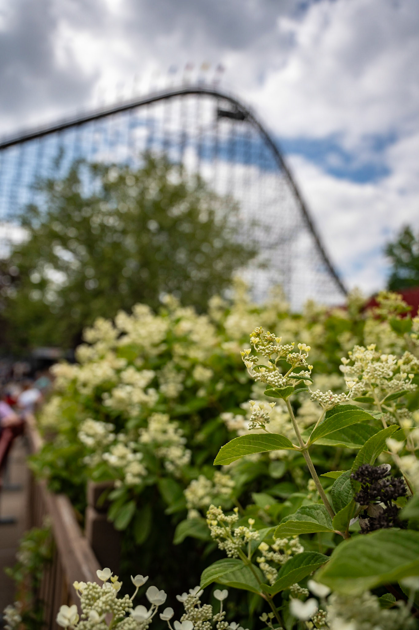 Photo by Jon Roost (www.jonroostphotos.com)