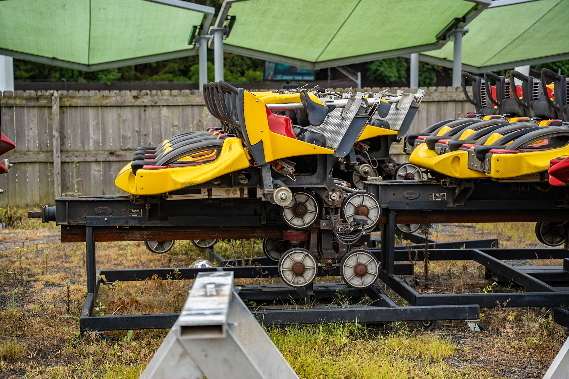 Photo by Jon Roost (www.jonroostphotos.com)