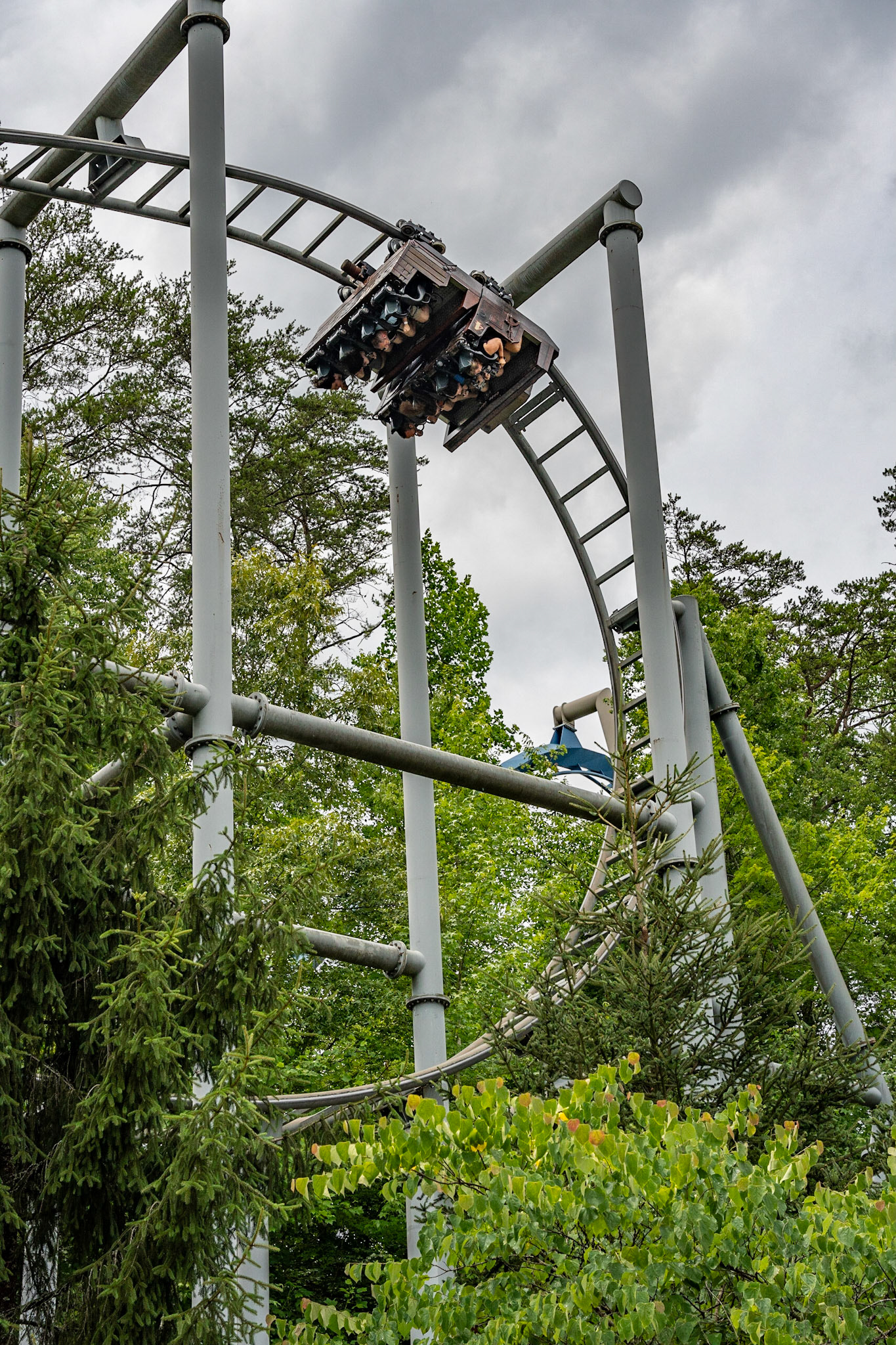 Photo by Jon Roost (www.jonroostphotos.com)