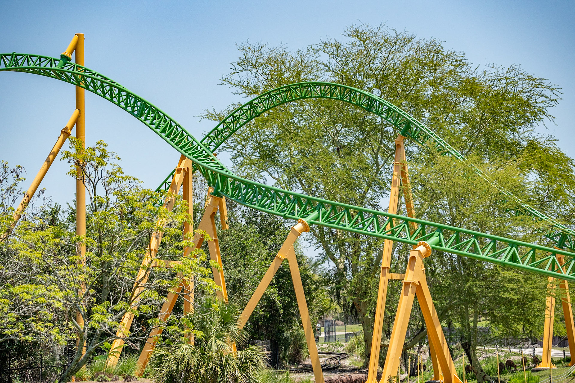 Photo by Jon Roost (www.jonroostphotos.com)