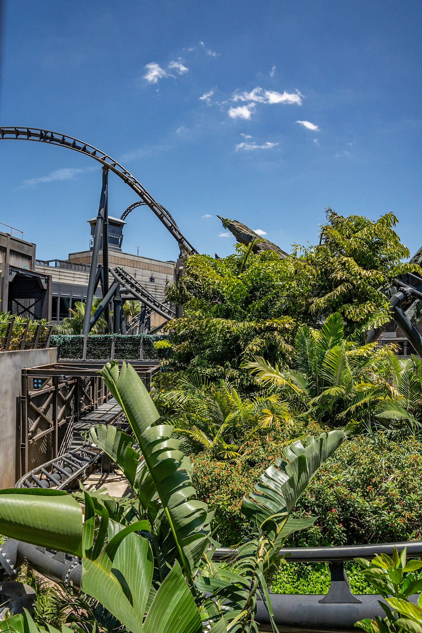 Photo by Jon Roost (www.jonroostphotos.com)