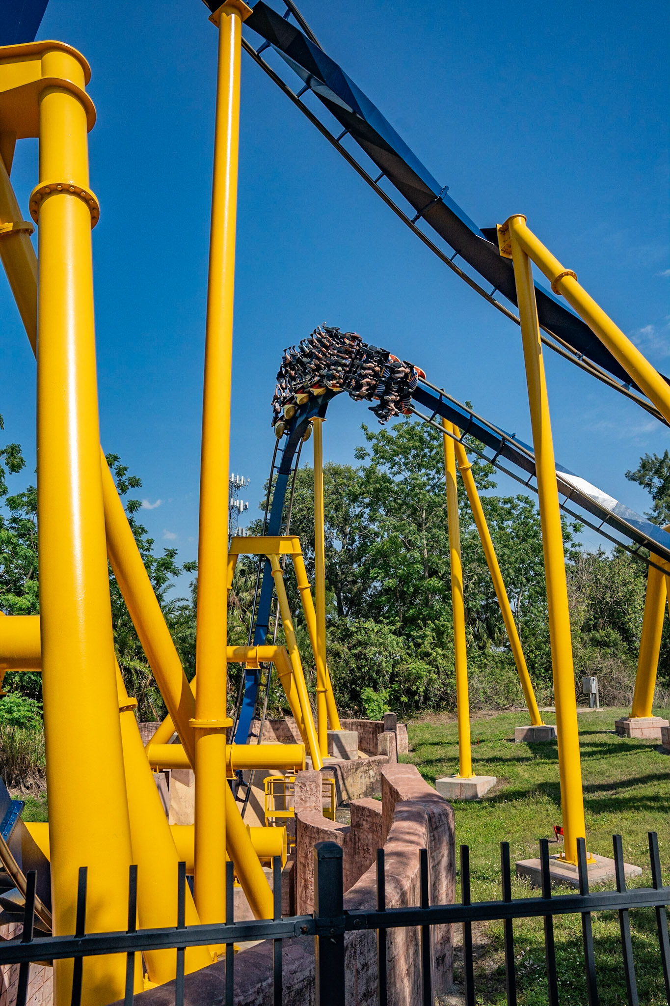 Photo by Jon Roost (www.jonroostphotos.com)