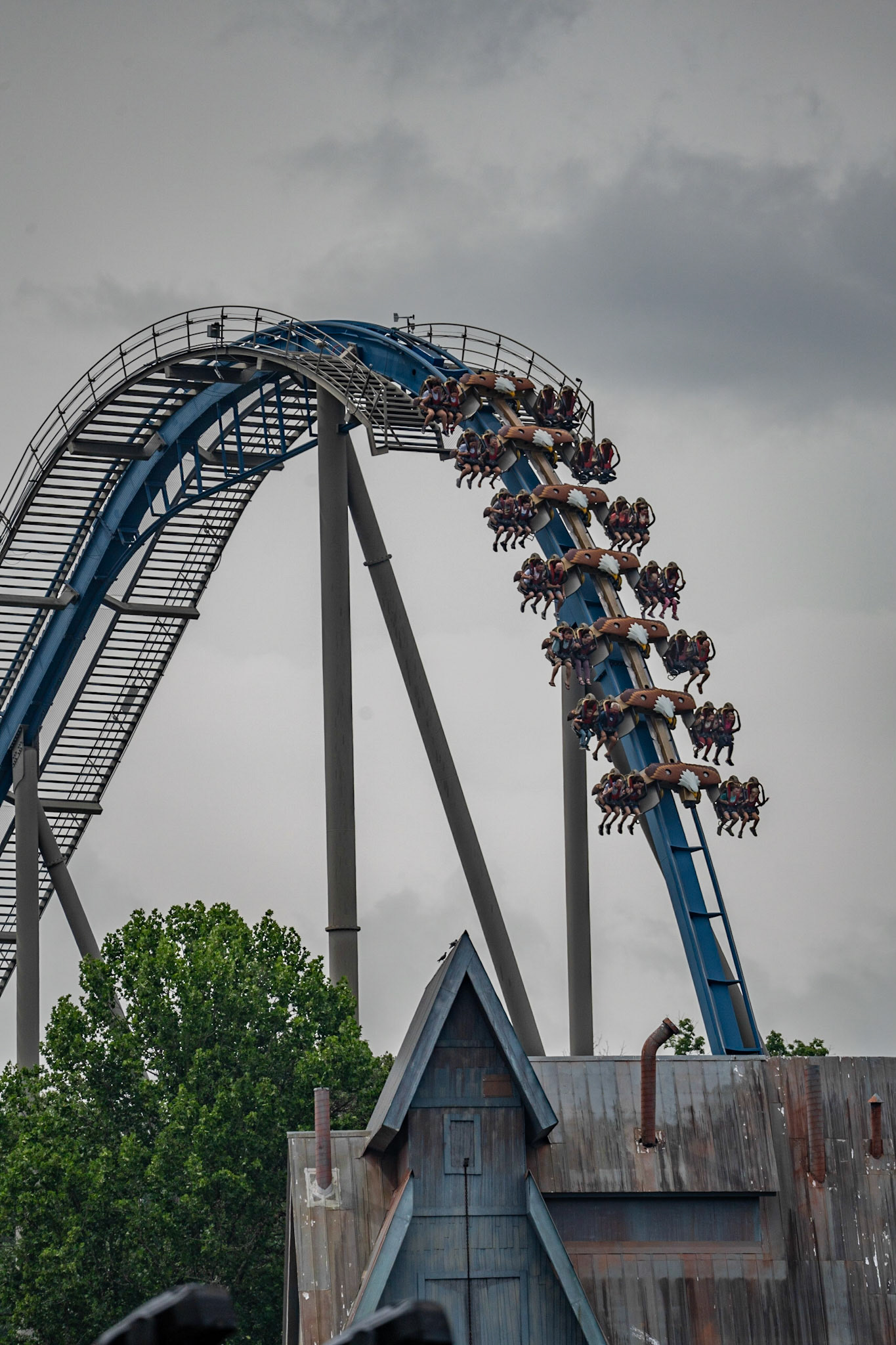 Photo by Jon Roost (www.jonroostphotos.com)