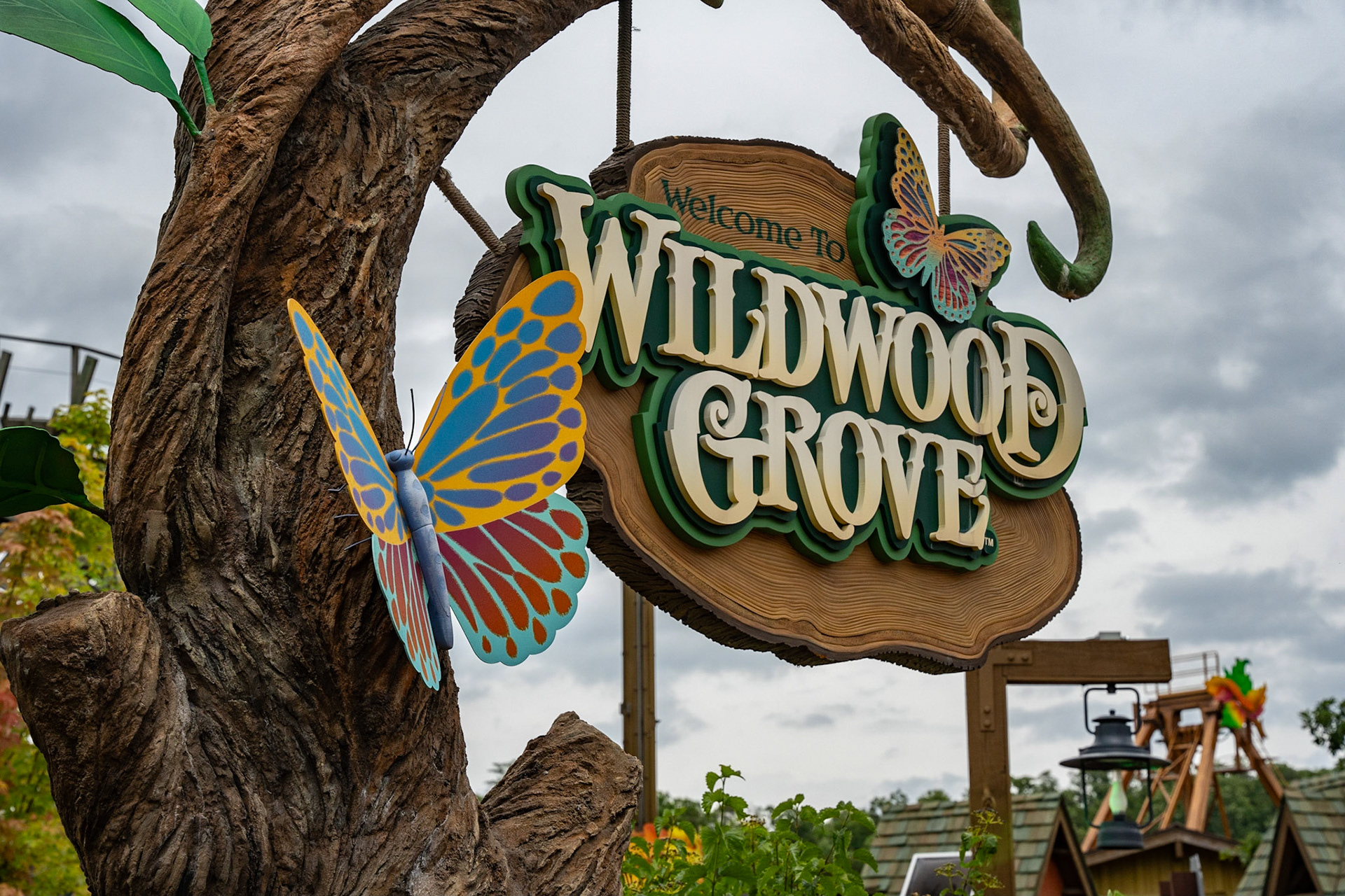 Photo by Jon Roost (www.jonroostphotos.com)