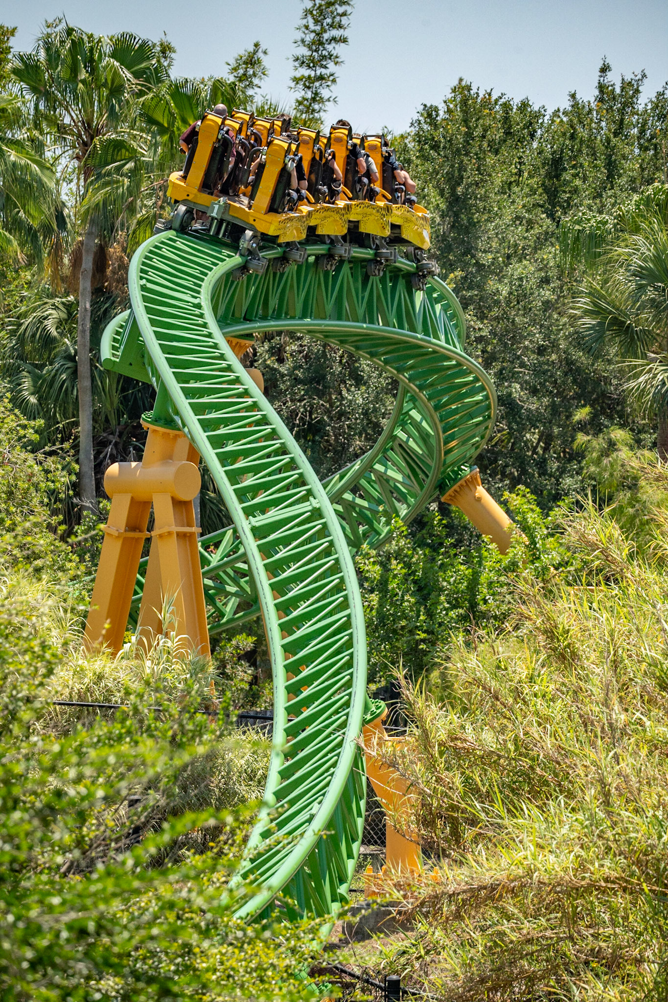 Photo by Jon Roost (www.jonroostphotos.com)