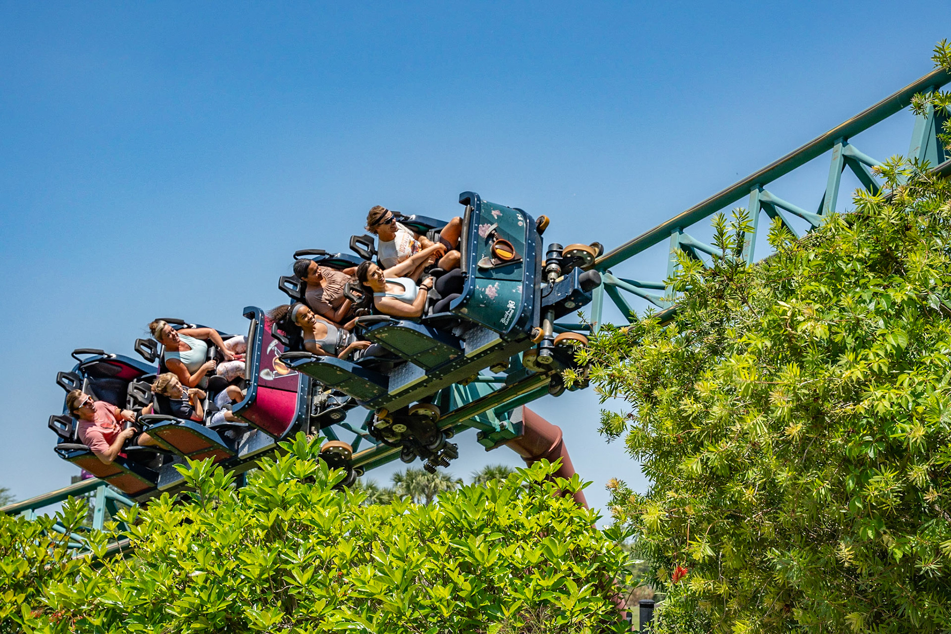 Photo by Jon Roost (www.jonroostphotos.com)