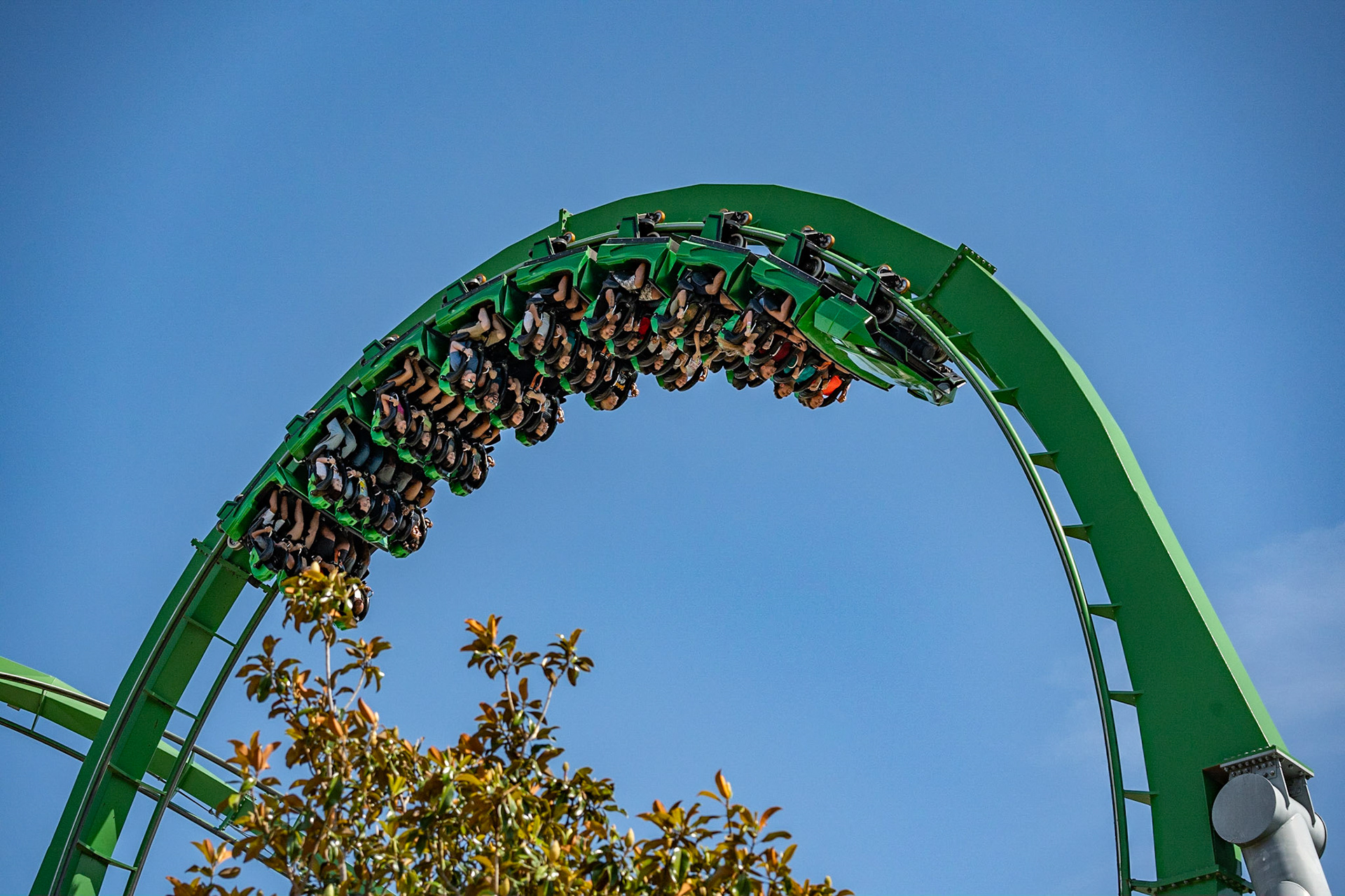 Photo by Jon Roost (www.jonroostphotos.com)