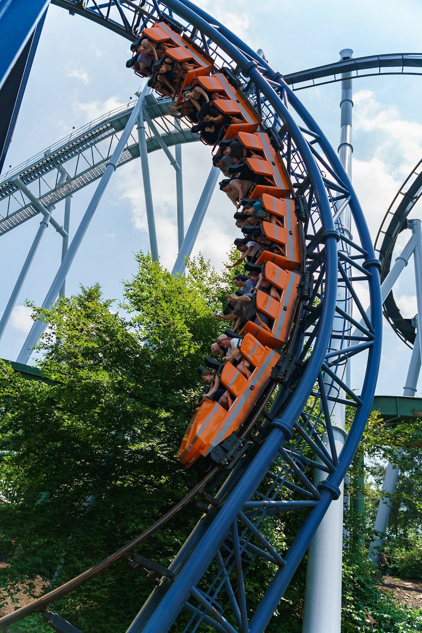 Photo by Jon Roost (www.jonroostphotos.com)