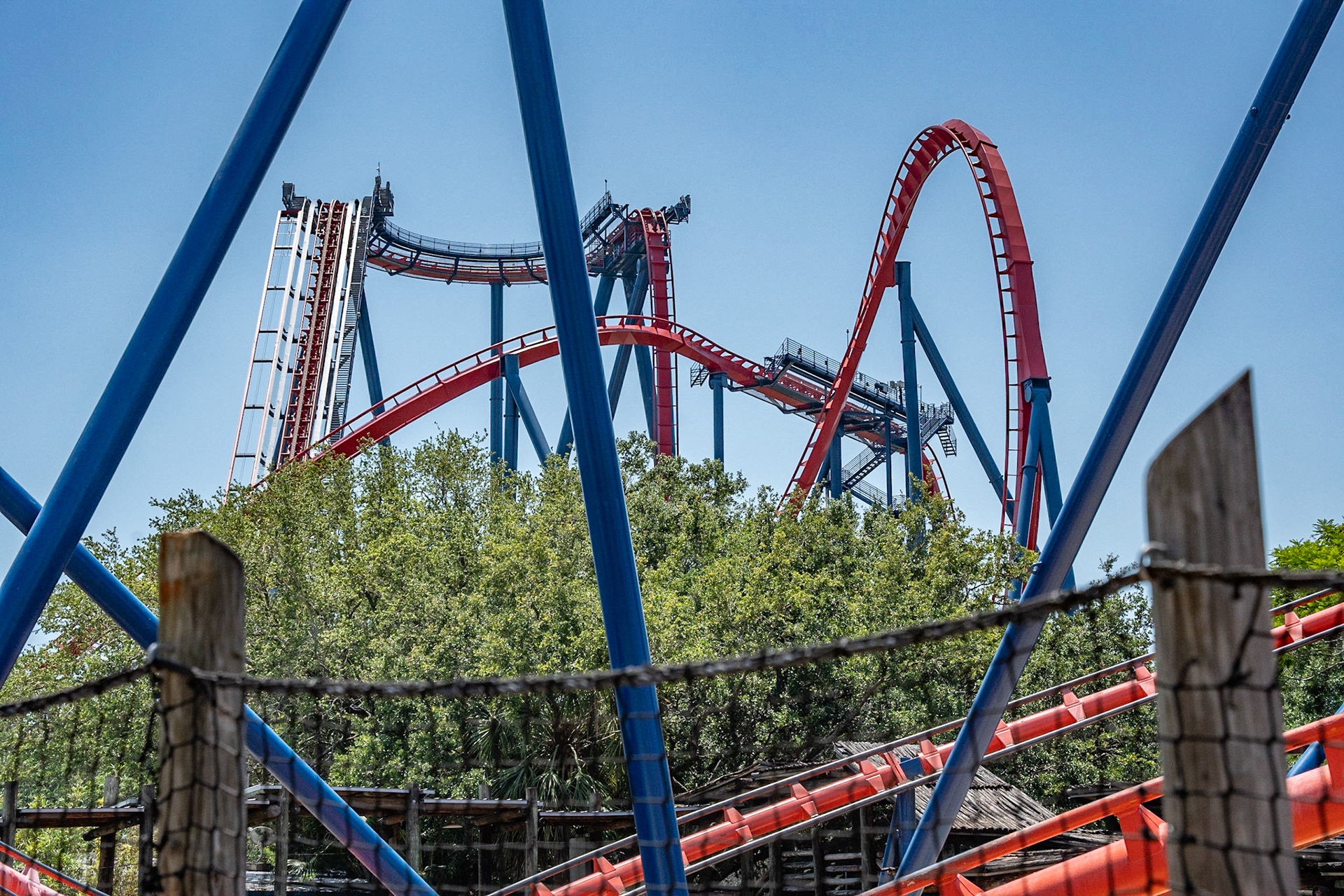 Photo by Jon Roost (www.jonroostphotos.com)