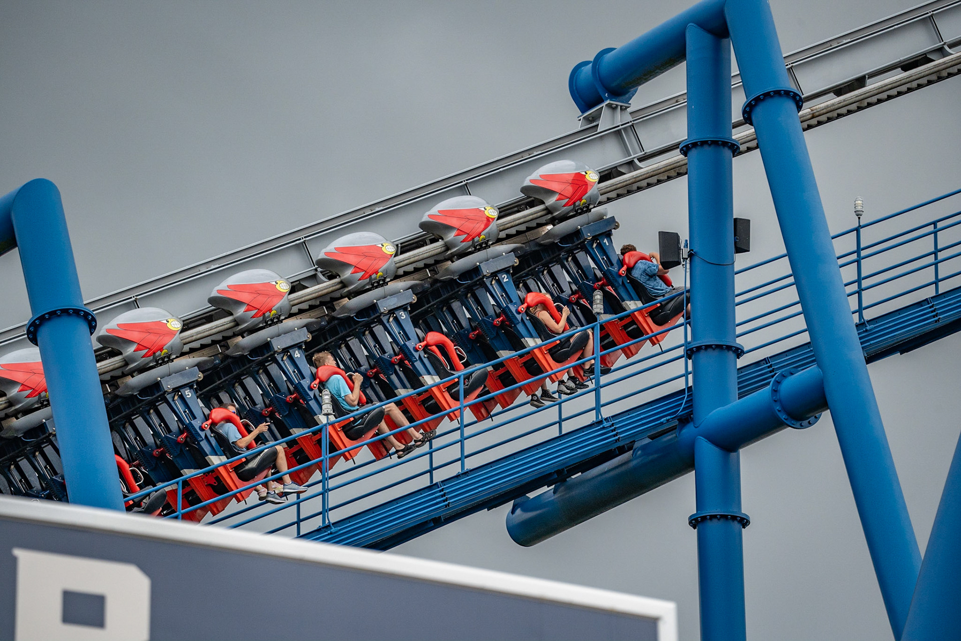 Photo by Jon Roost (www.jonroostphotos.com)