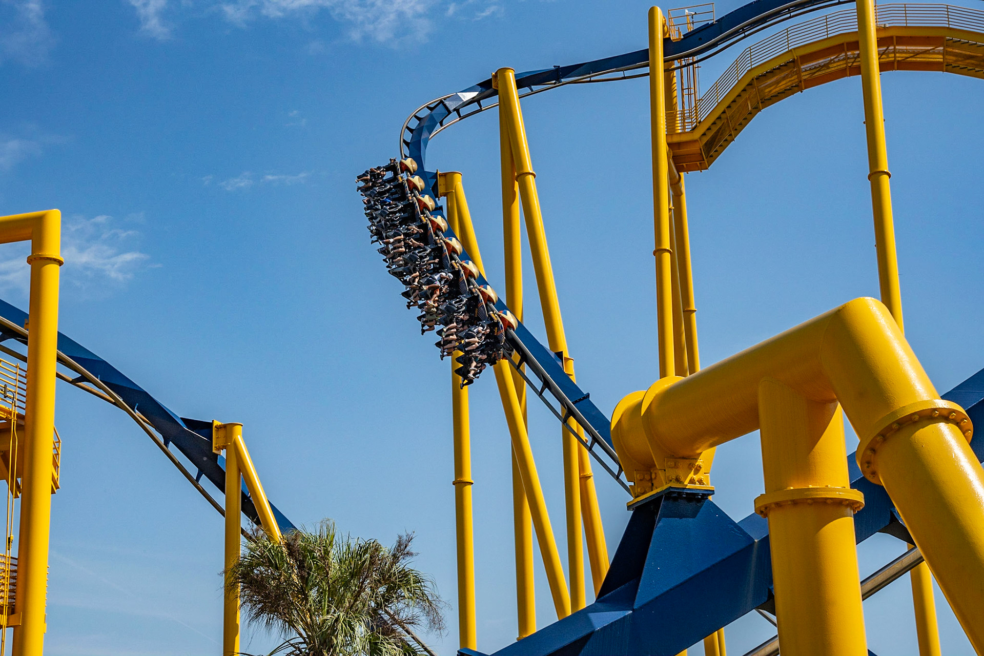 Photo by Jon Roost (www.jonroostphotos.com)