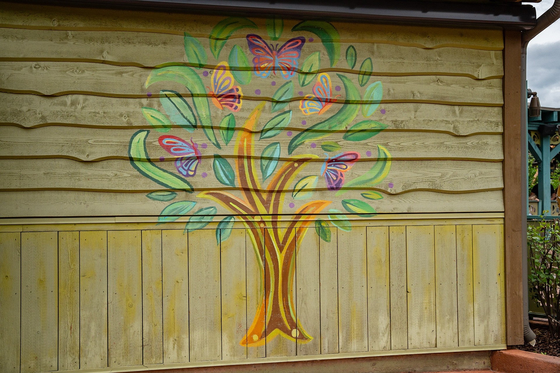 Photo by Jon Roost (www.jonroostphotos.com)