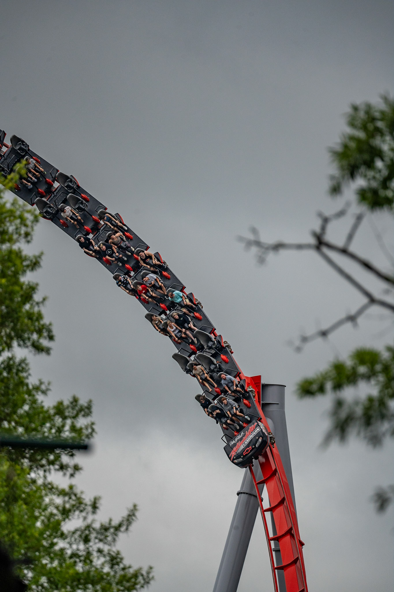 Photo by Jon Roost (www.jonroostphotos.com)