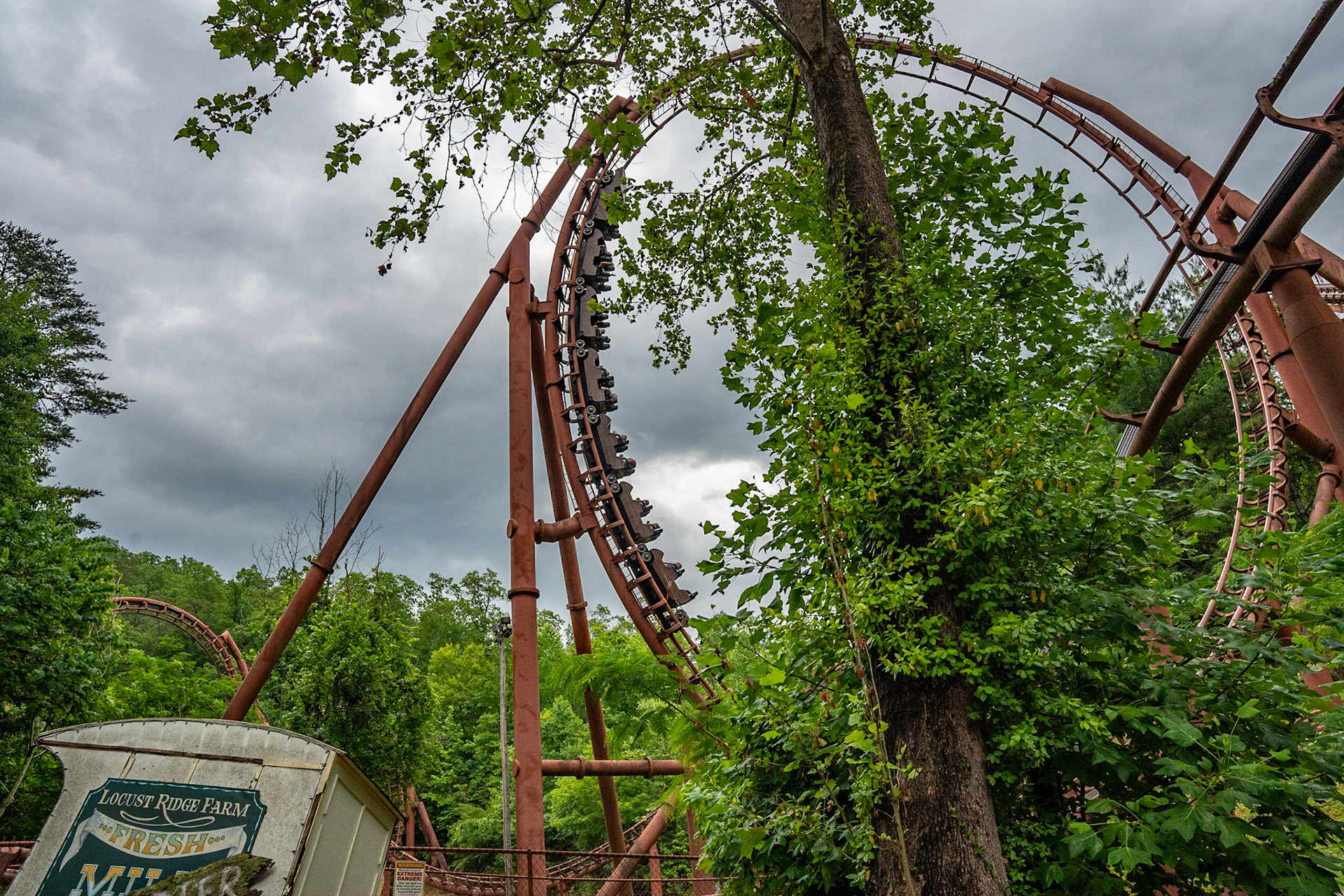 Photo by Jon Roost (www.jonroostphotos.com)