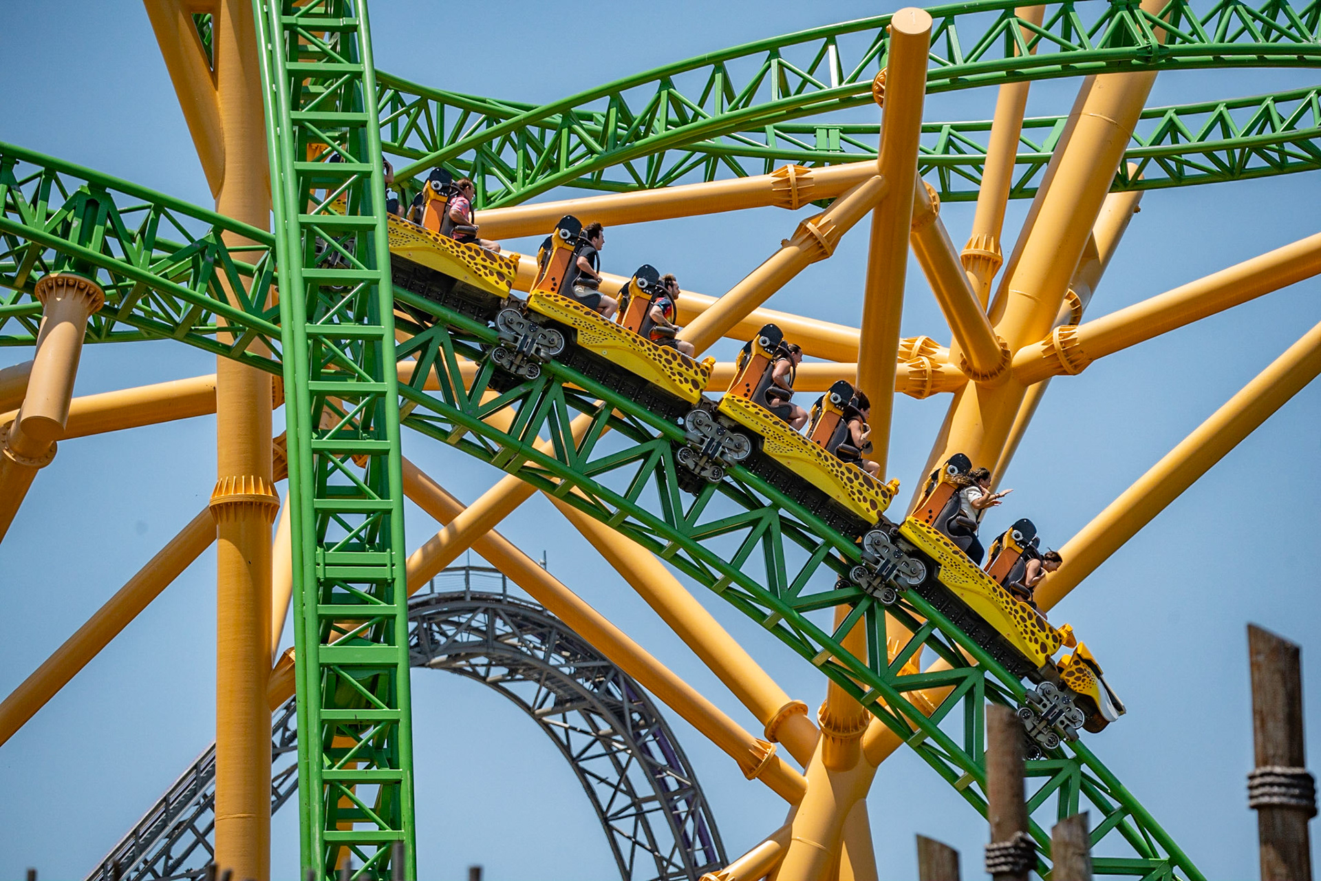 Photo by Jon Roost (www.jonroostphotos.com)