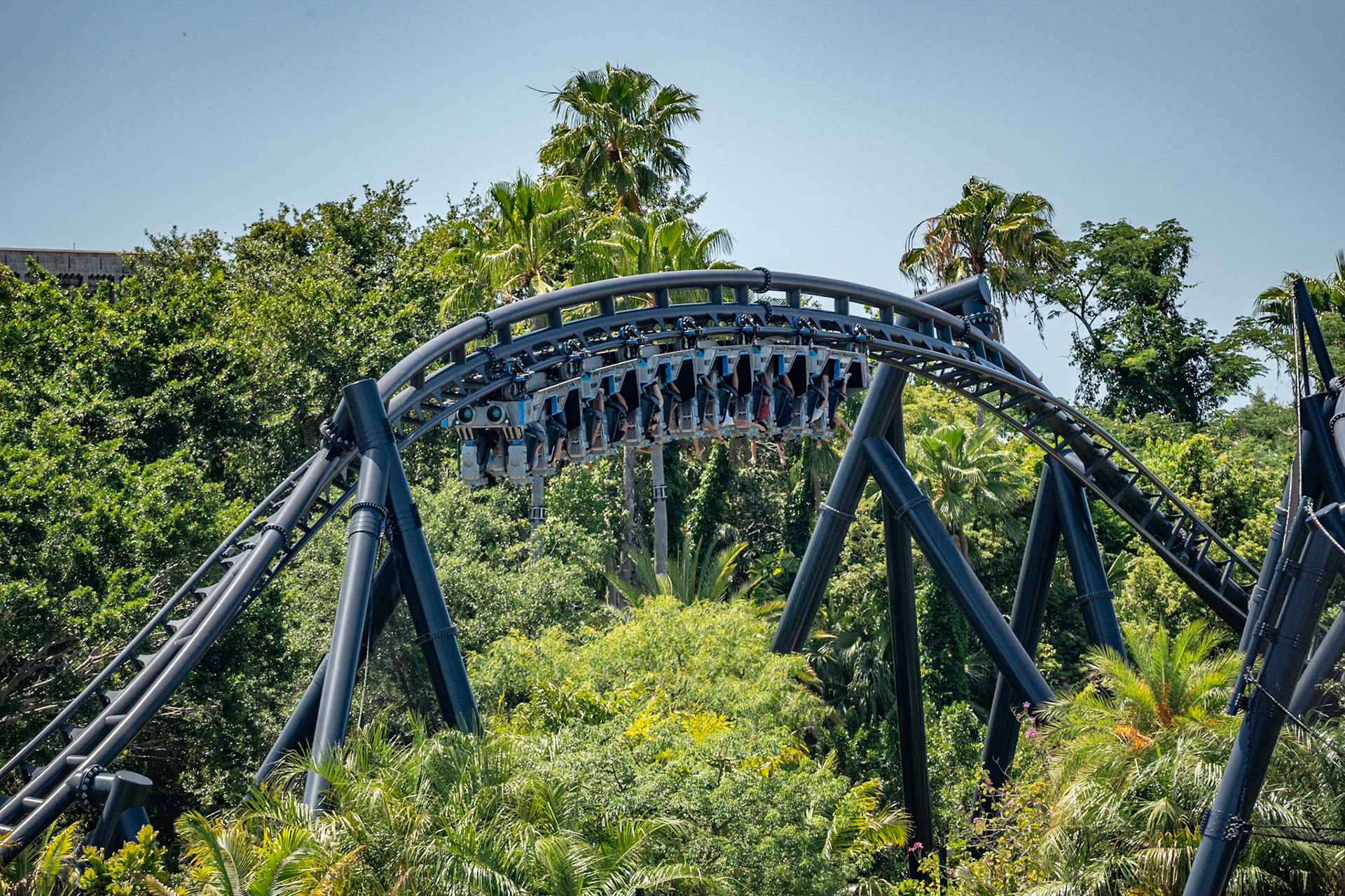 Photo by Jon Roost (www.jonroostphotos.com)