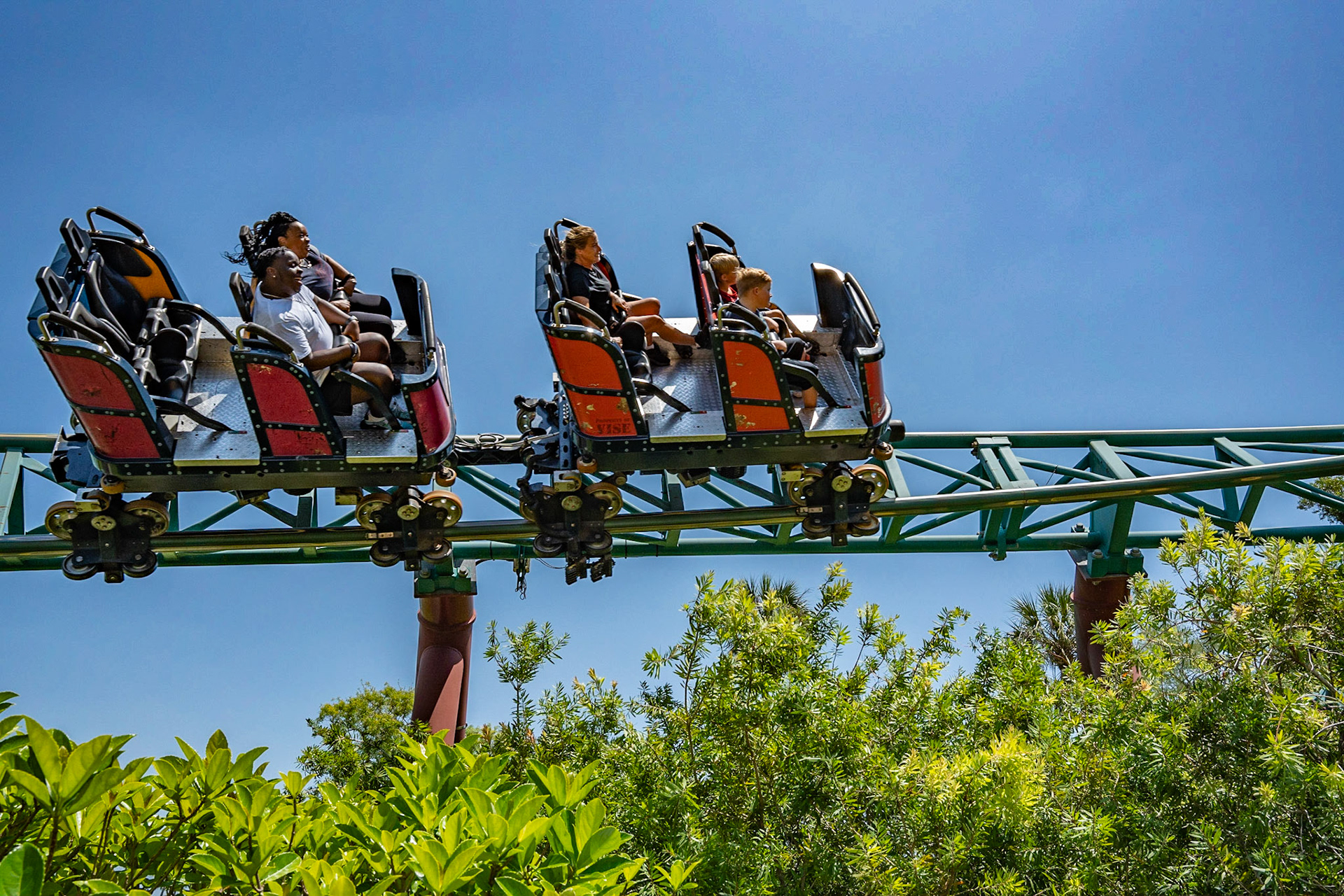 Photo by Jon Roost (www.jonroostphotos.com)