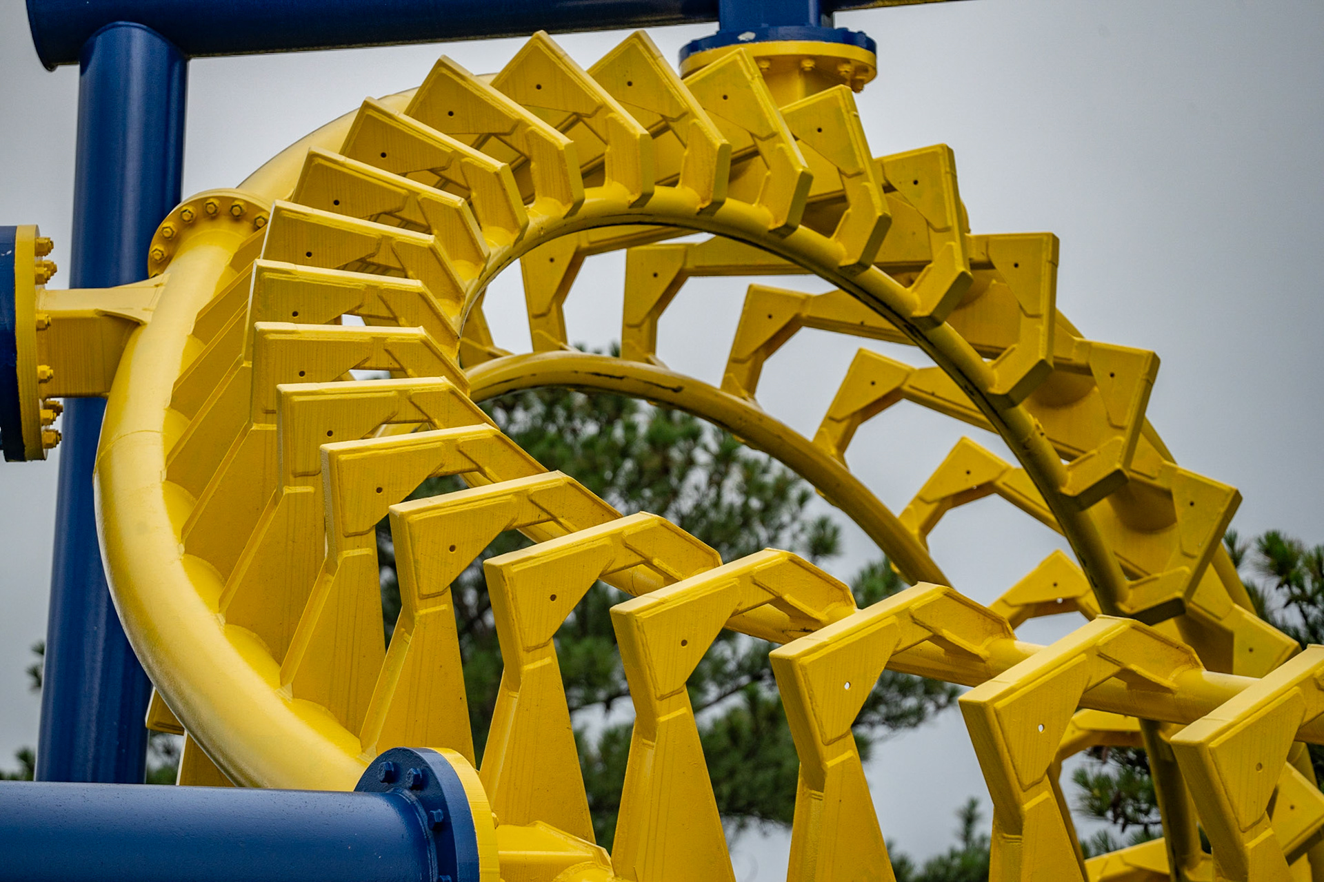 Photo by Jon Roost (www.jonroostphotos.com)