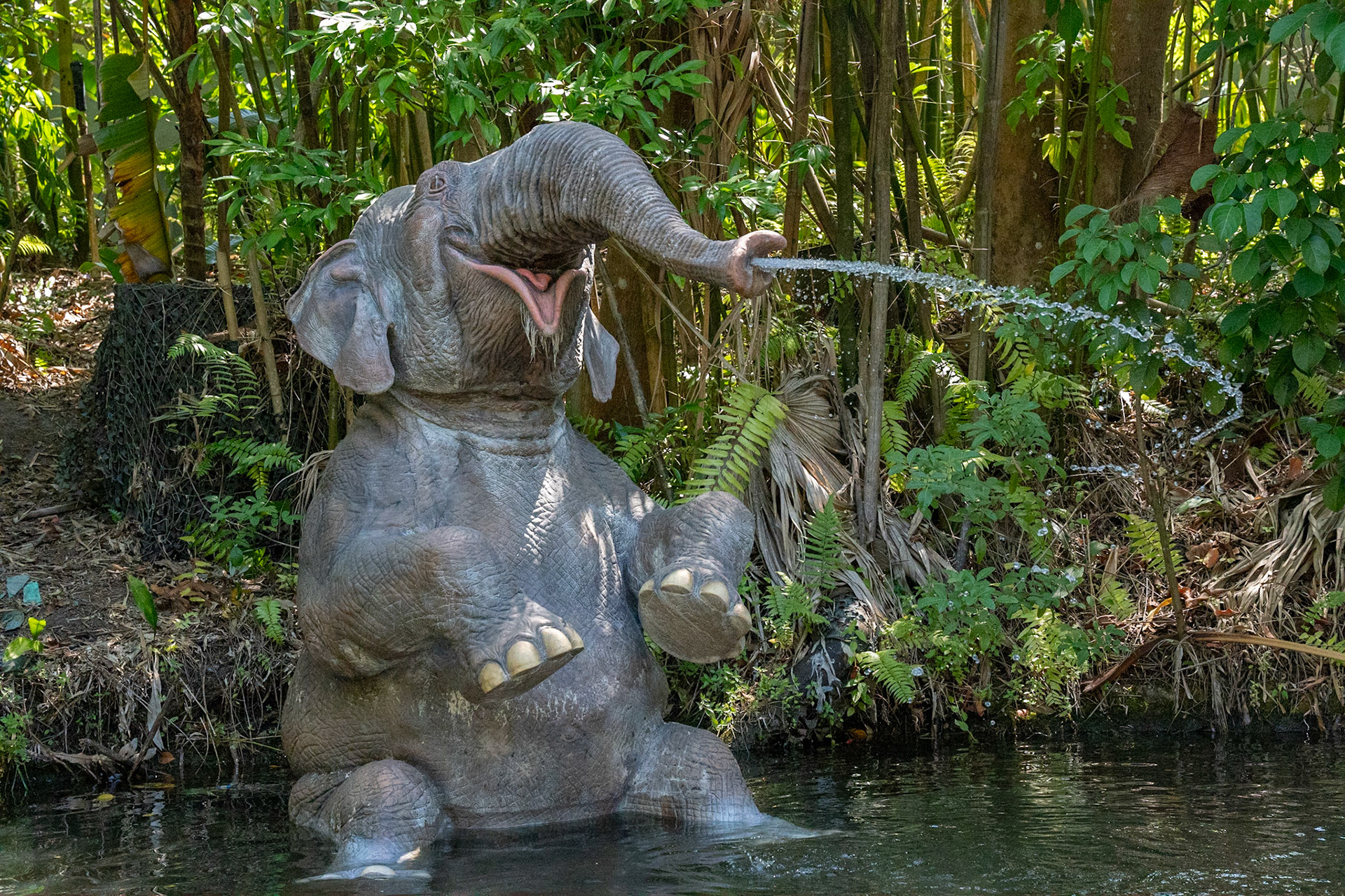 Photo by Jon Roost (www.jonroostphotos.com)