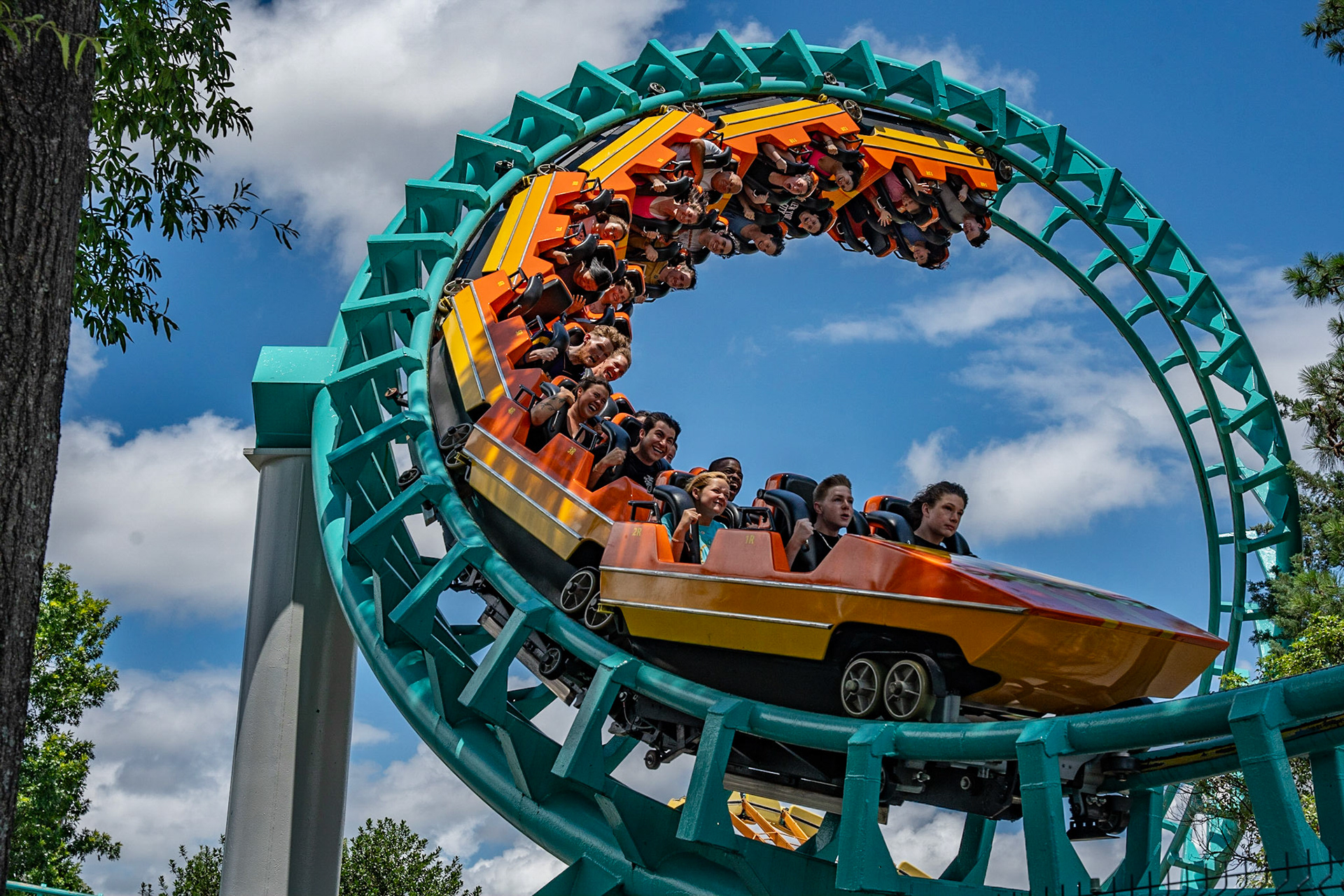 Photo by Jon Roost (www.jonroostphotos.com)