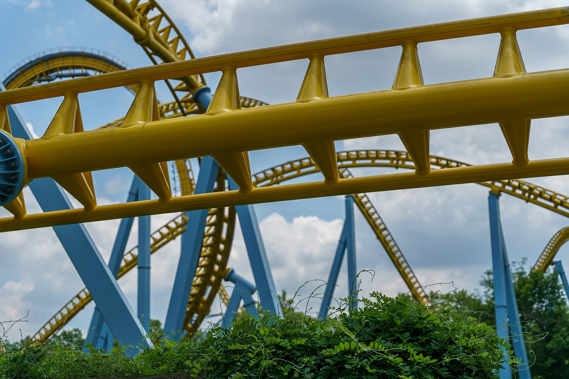 Photo by Jon Roost (www.jonroostphotos.com)