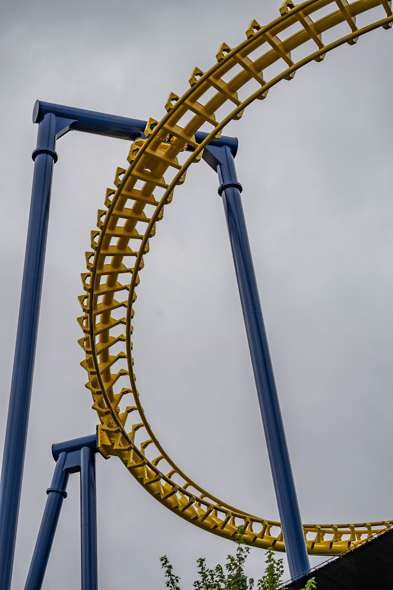 Photo by Jon Roost (www.jonroostphotos.com)