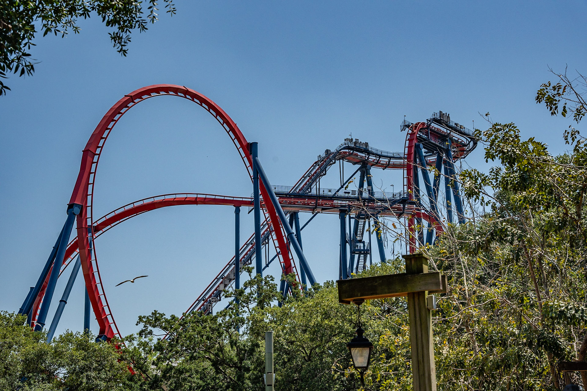 Photo by Jon Roost (www.jonroostphotos.com)