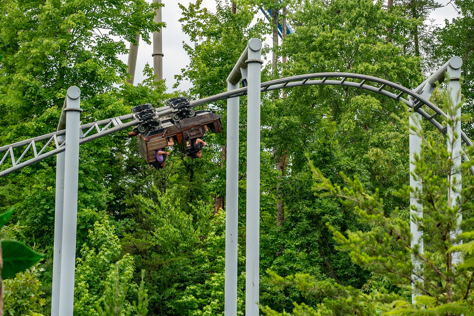 Photo by Jon Roost (www.jonroostphotos.com)