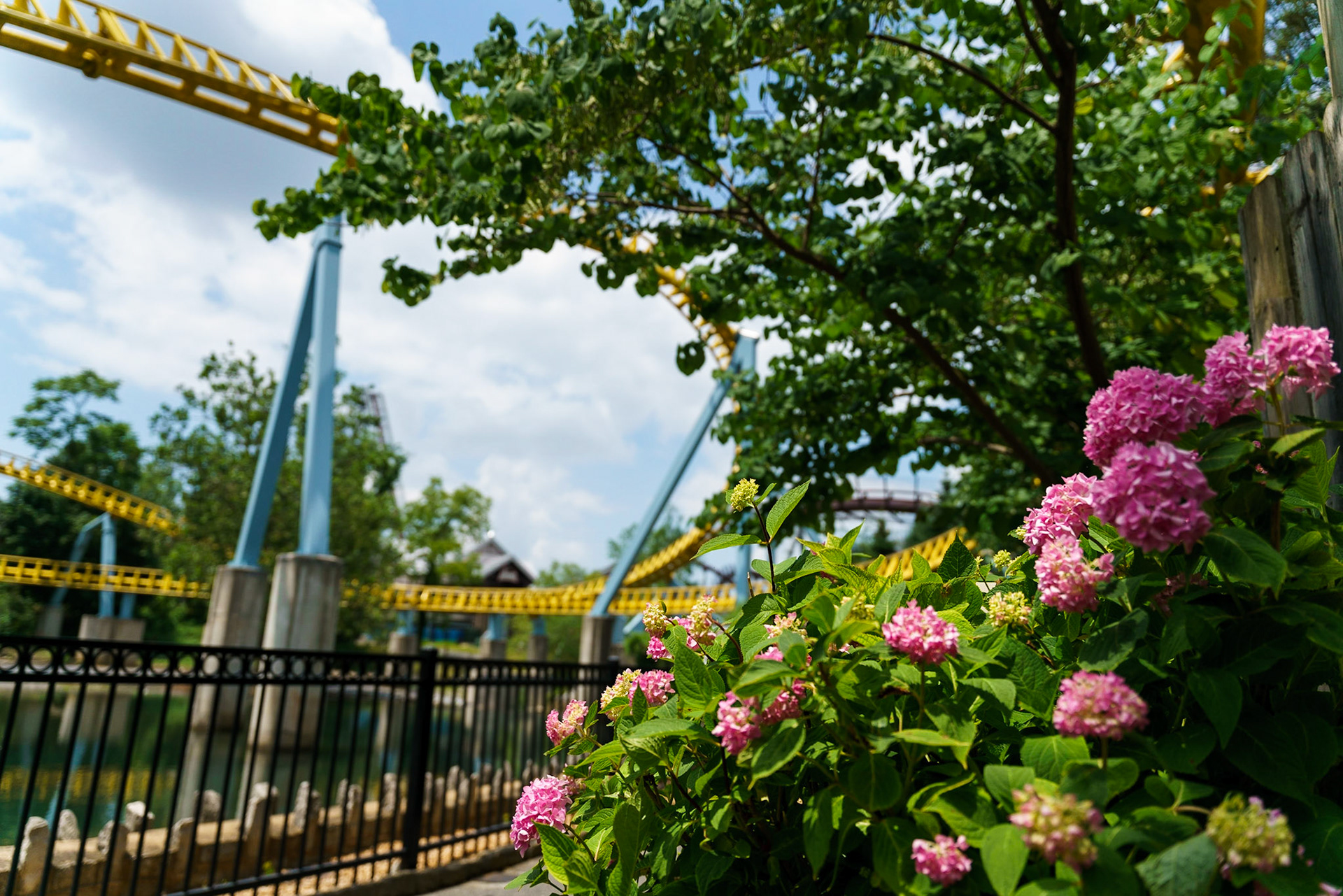 Photo by Jon Roost (www.jonroostphotos.com)