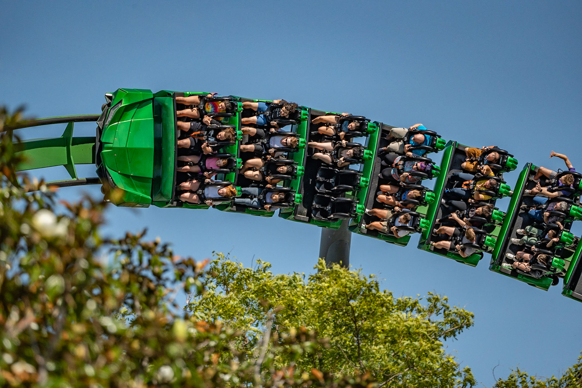 Photo by Jon Roost (www.jonroostphotos.com)