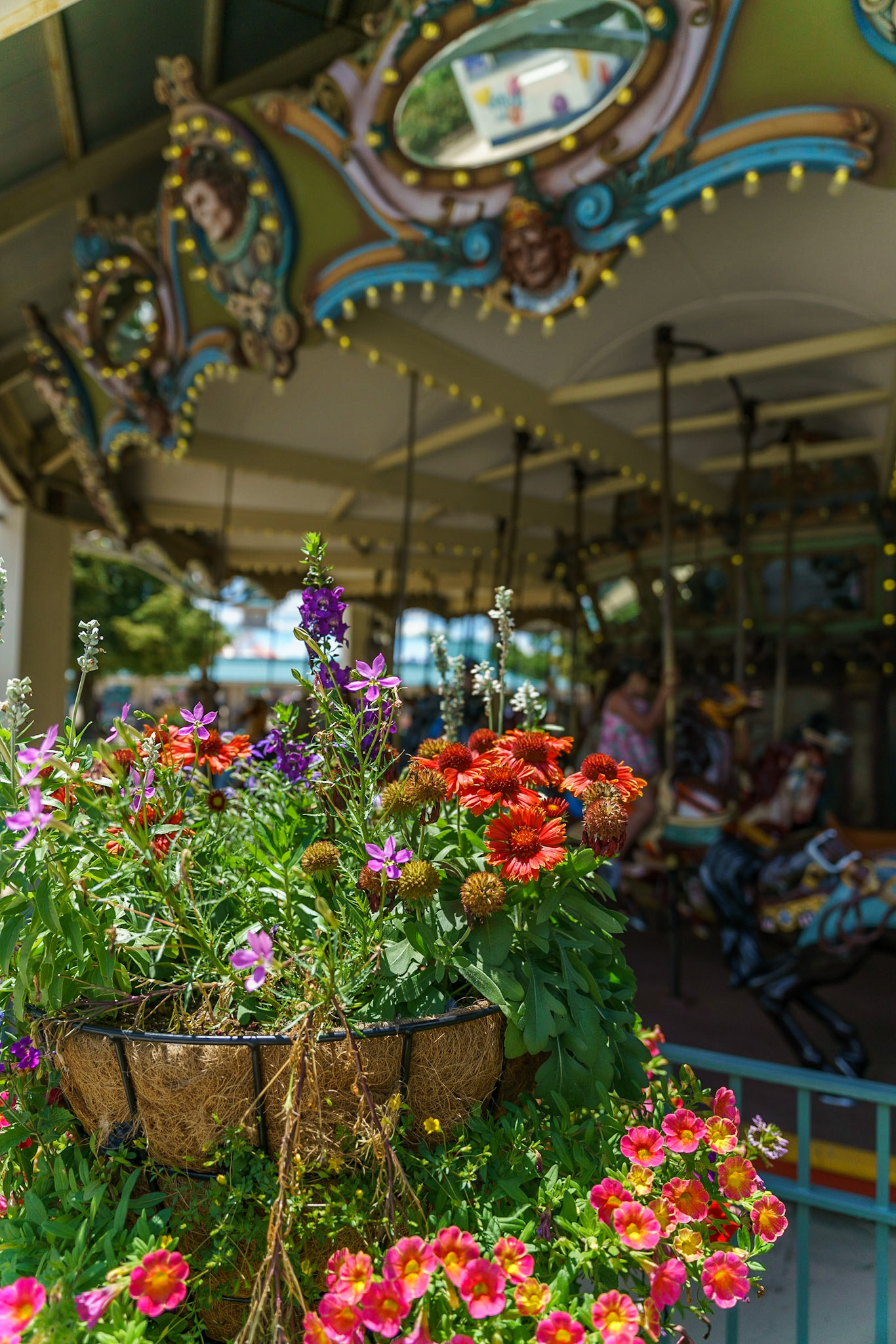 Photo by Jon Roost (www.jonroostphotos.com)