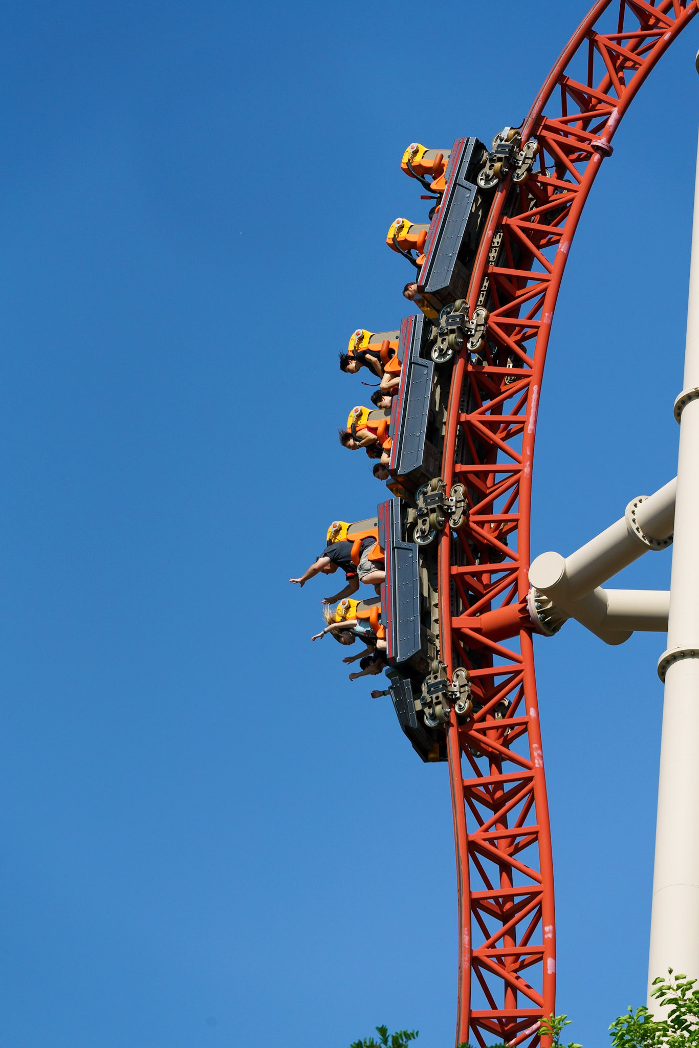 Photo by Jon Roost (www.jonroostphotos.com)