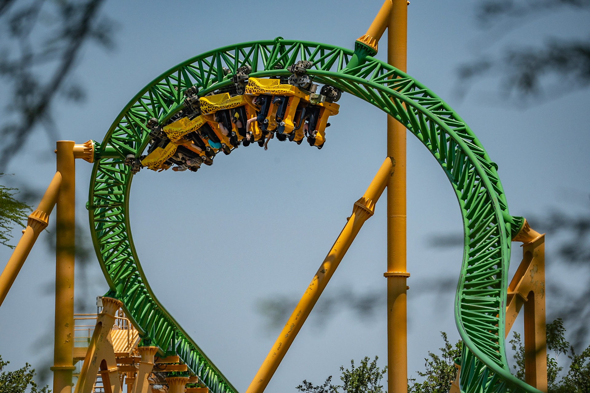 Photo by Jon Roost (www.jonroostphotos.com)